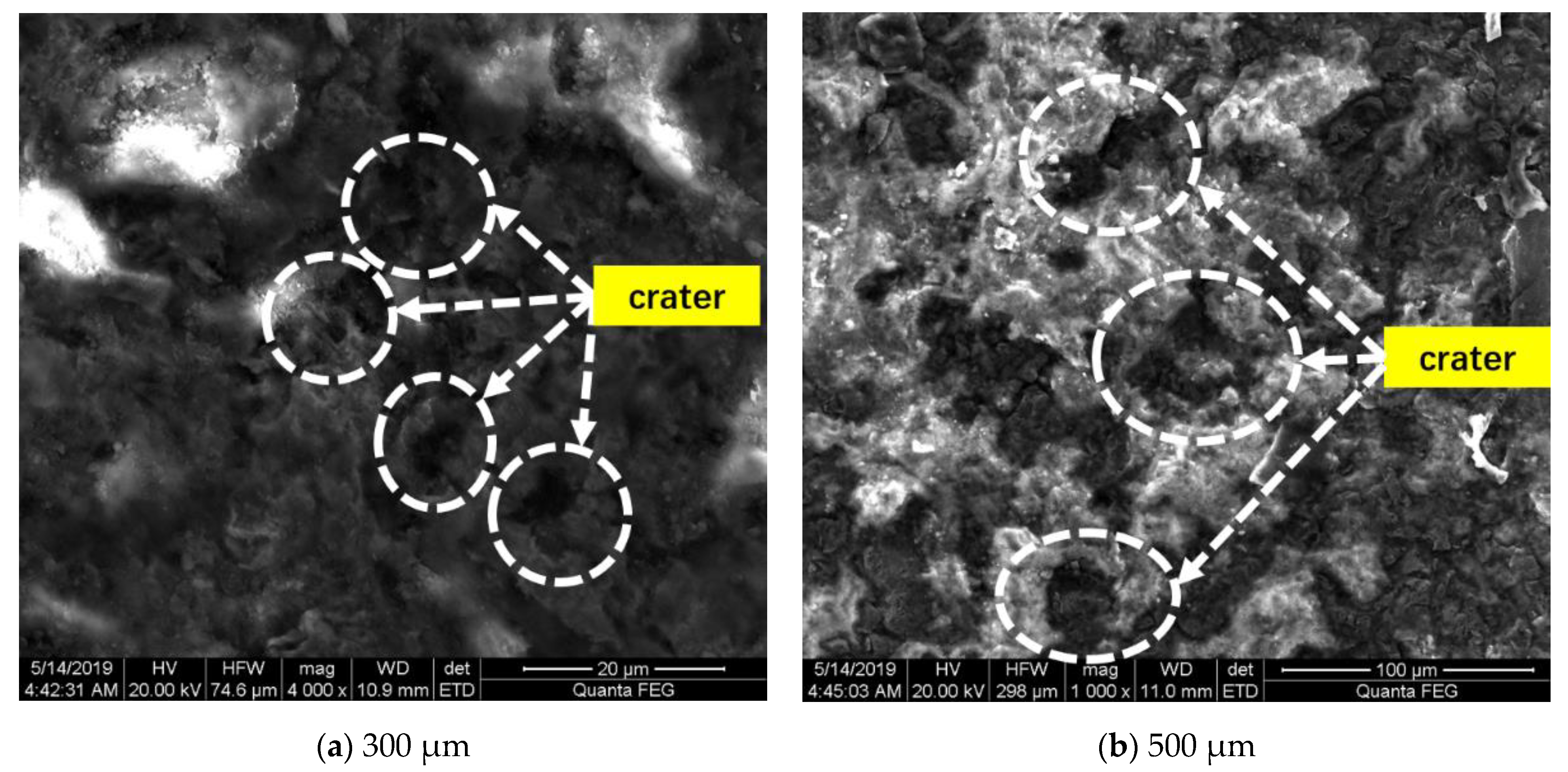 Metals 11 00263 g005