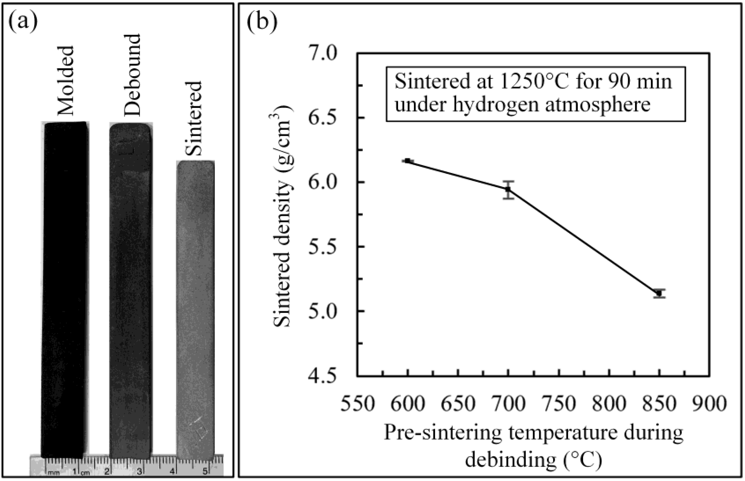 Metals 11 00264 g008