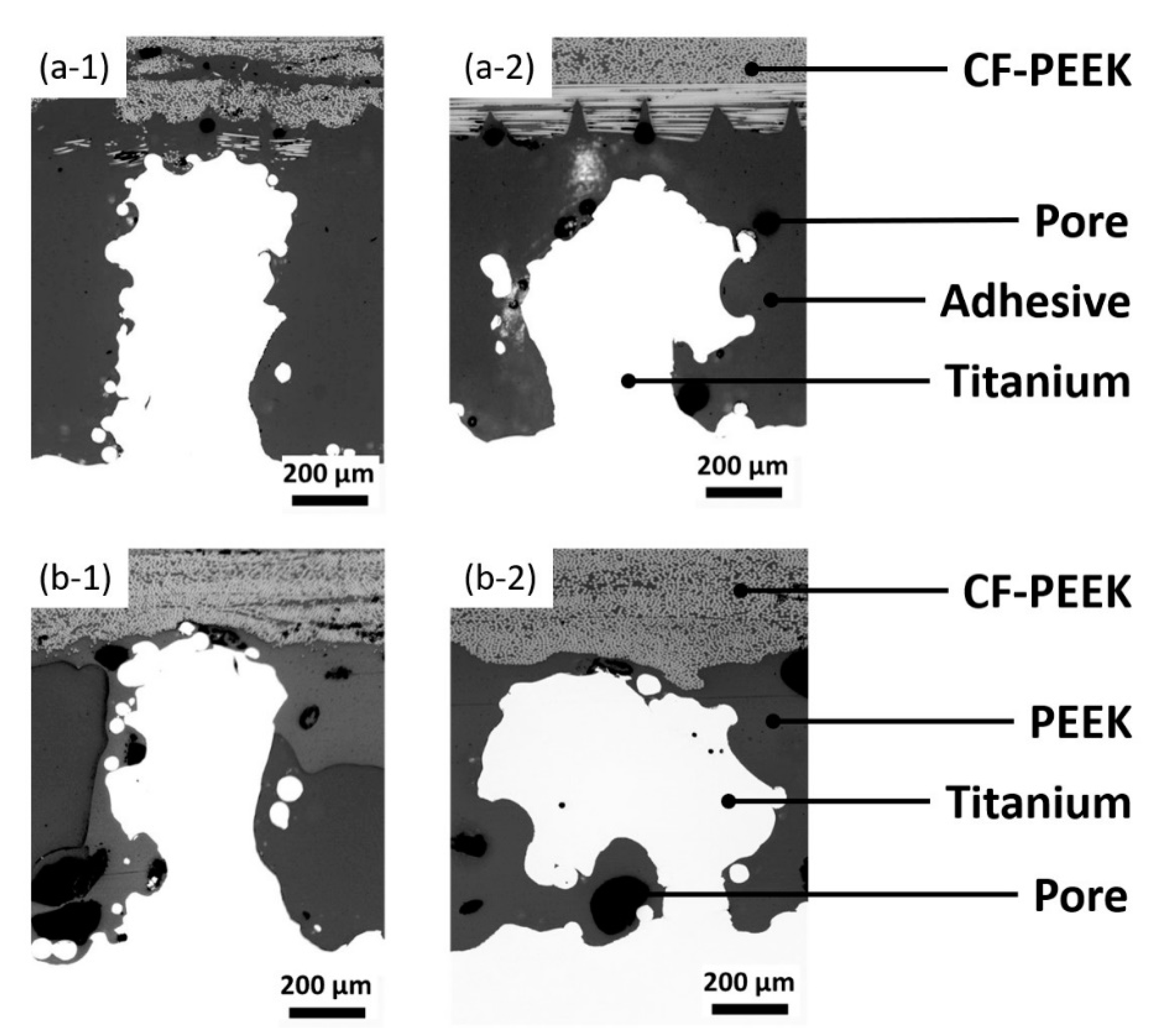 Metals 11 00265 g005