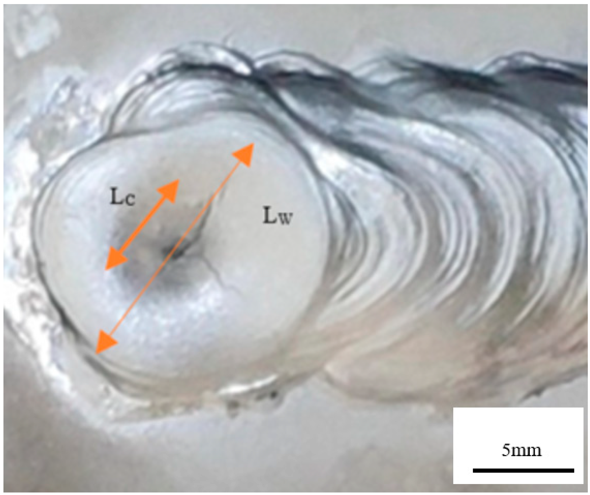 Metals 11 00267 g002