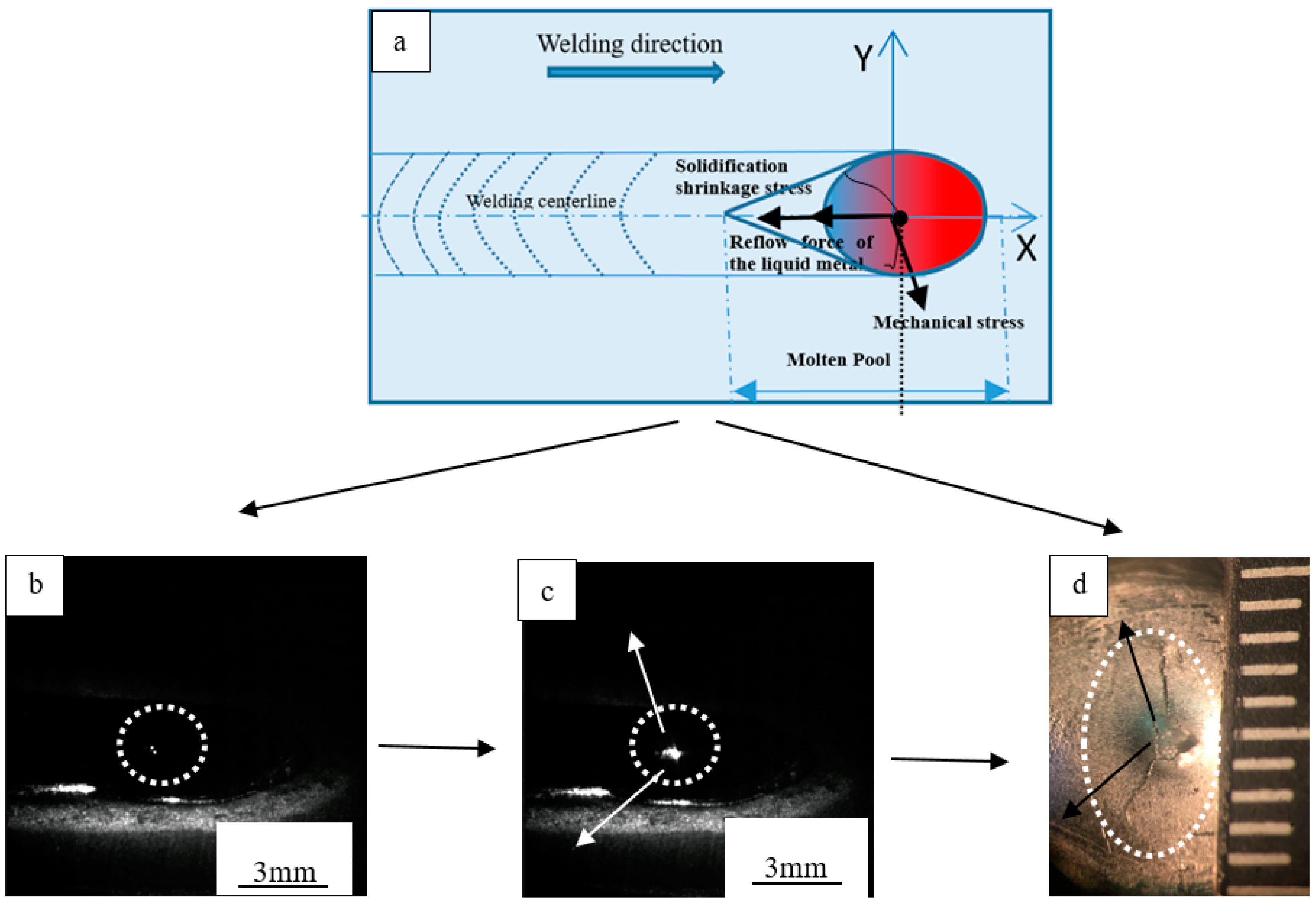 Metals 11 00267 g008