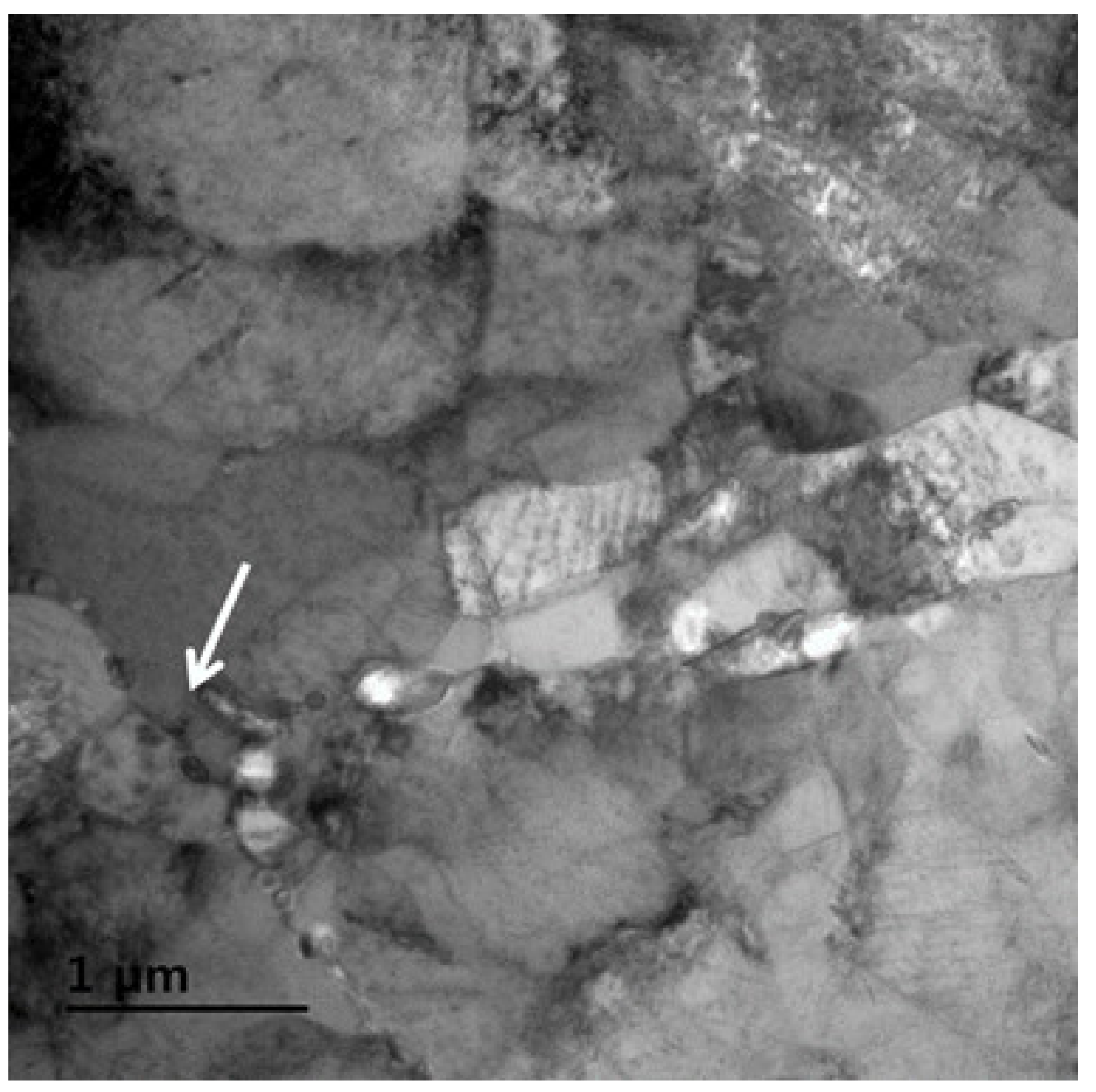 Metals 11 00268 g003