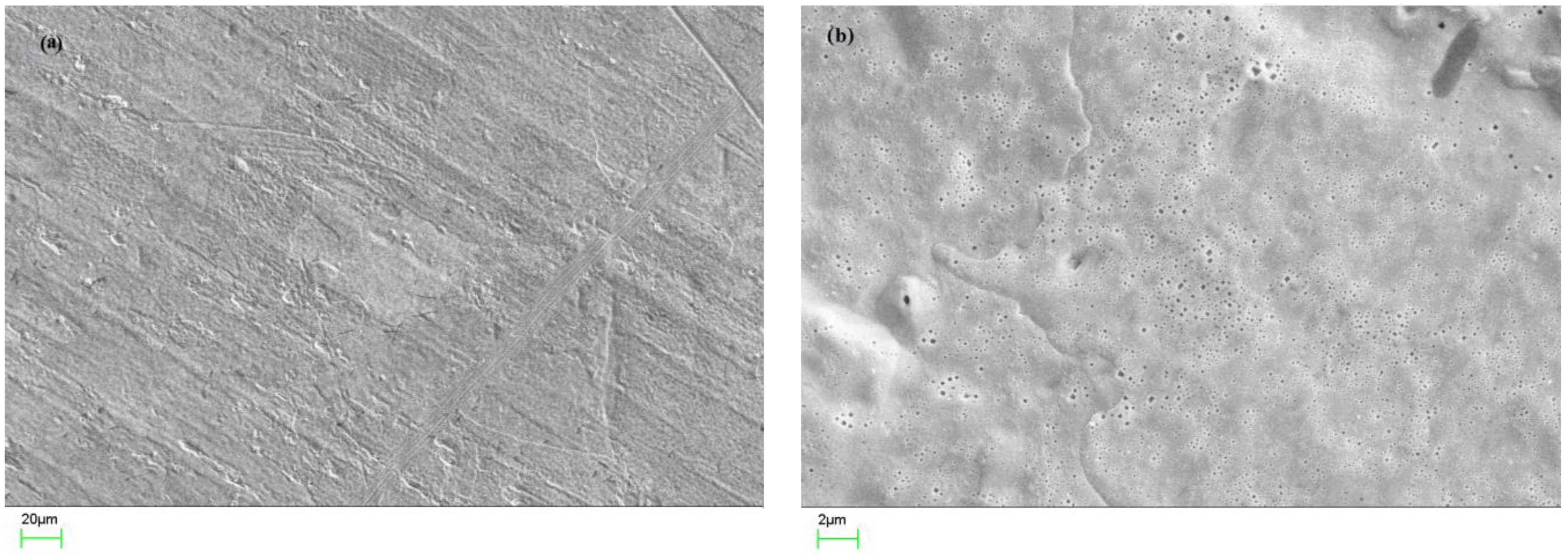 Metals 11 00274 g001a