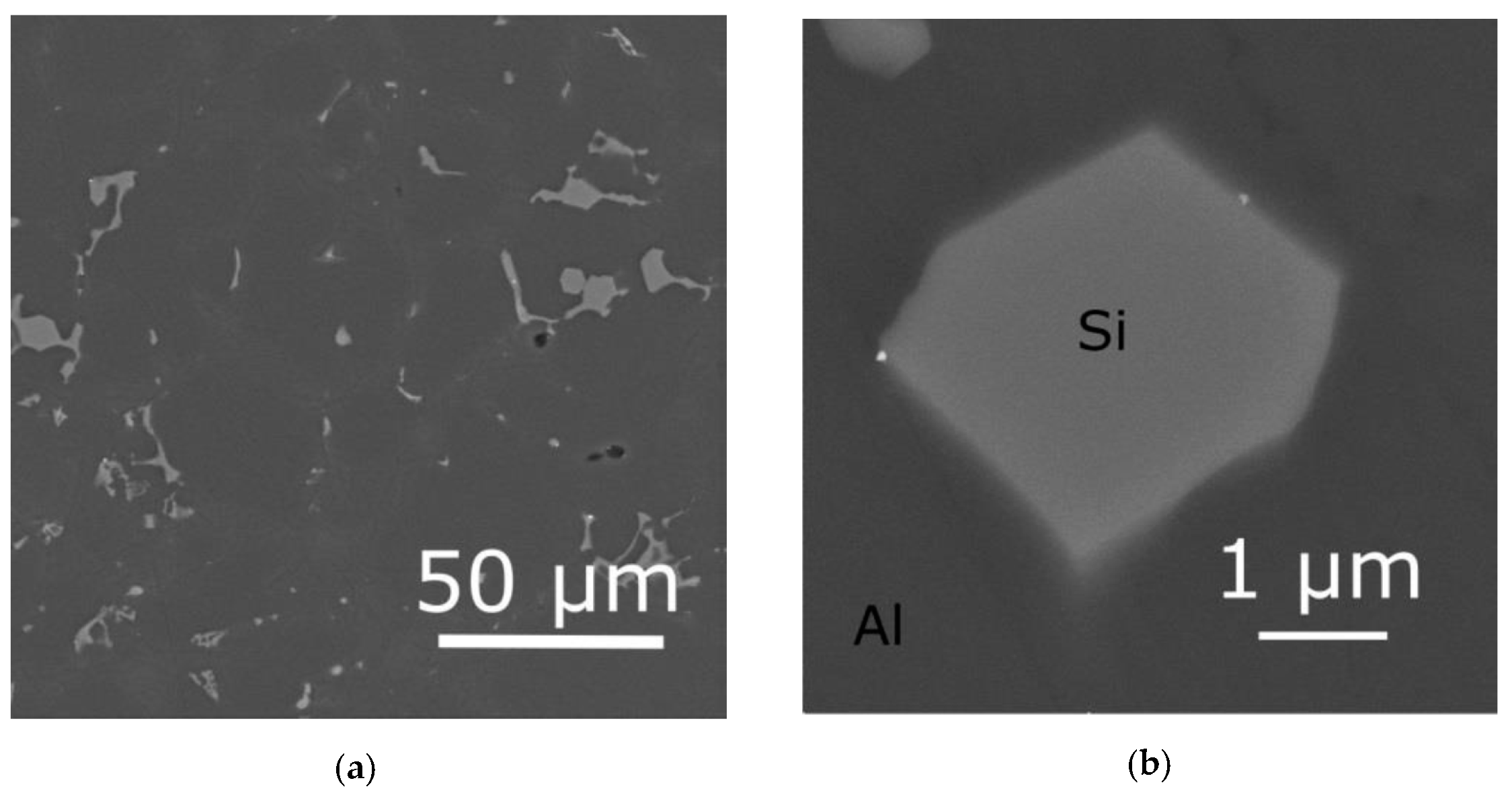 Metals 11 00279 g002a