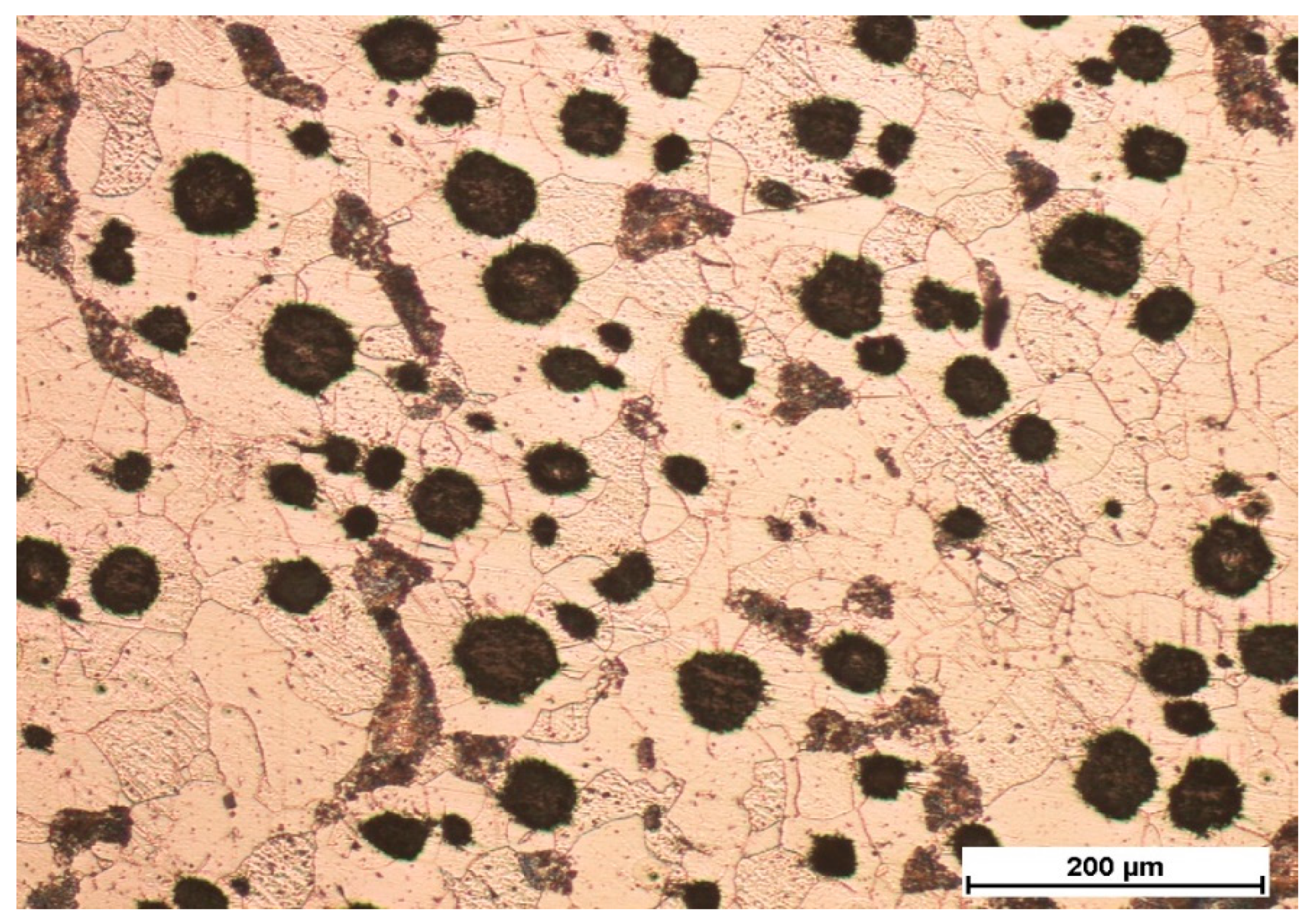 Metals 11 00282 g001