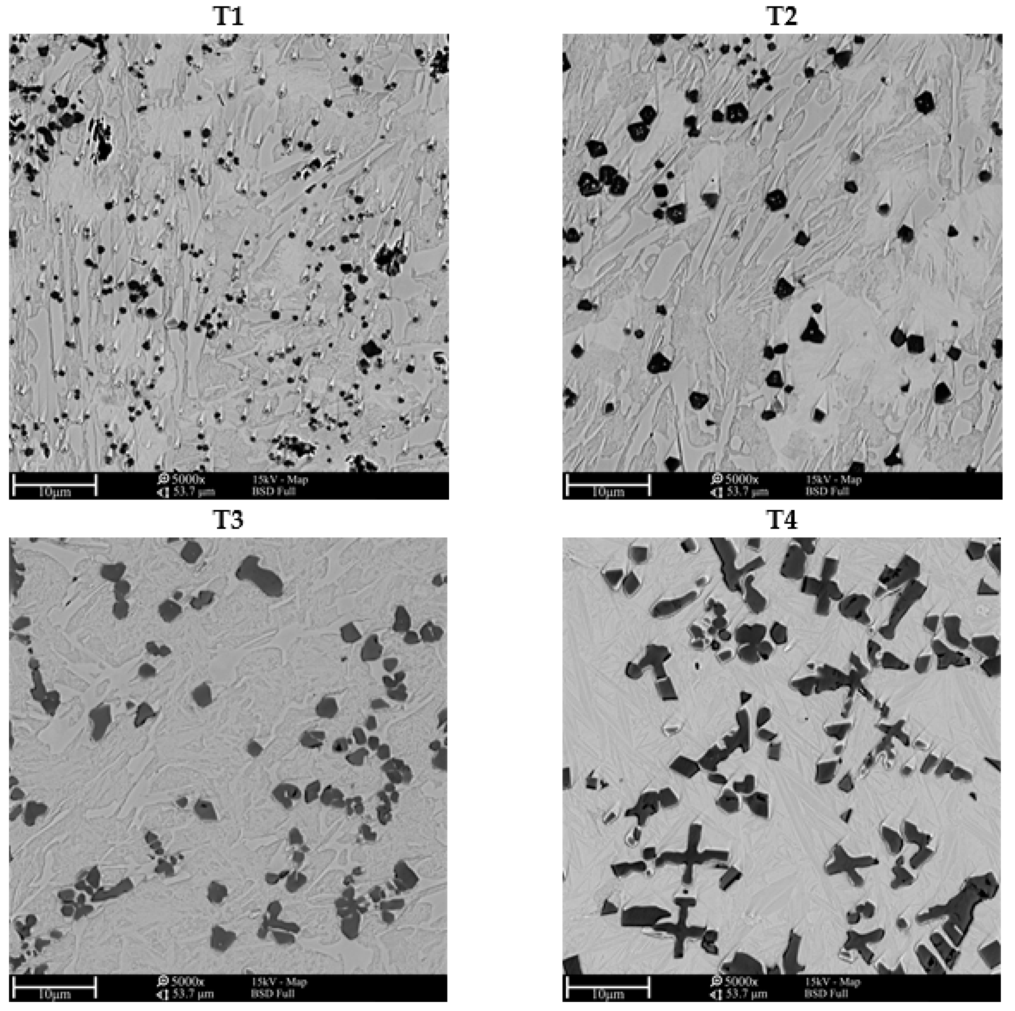 Metals 11 00282 g005