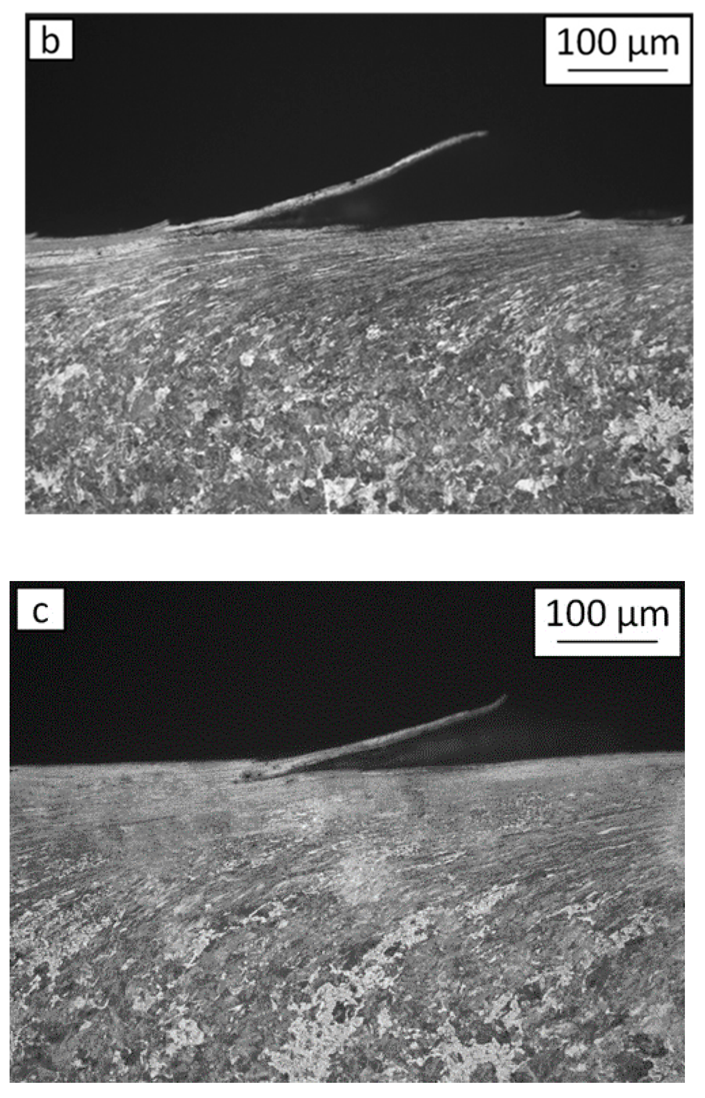 Metals 11 00283 g011b