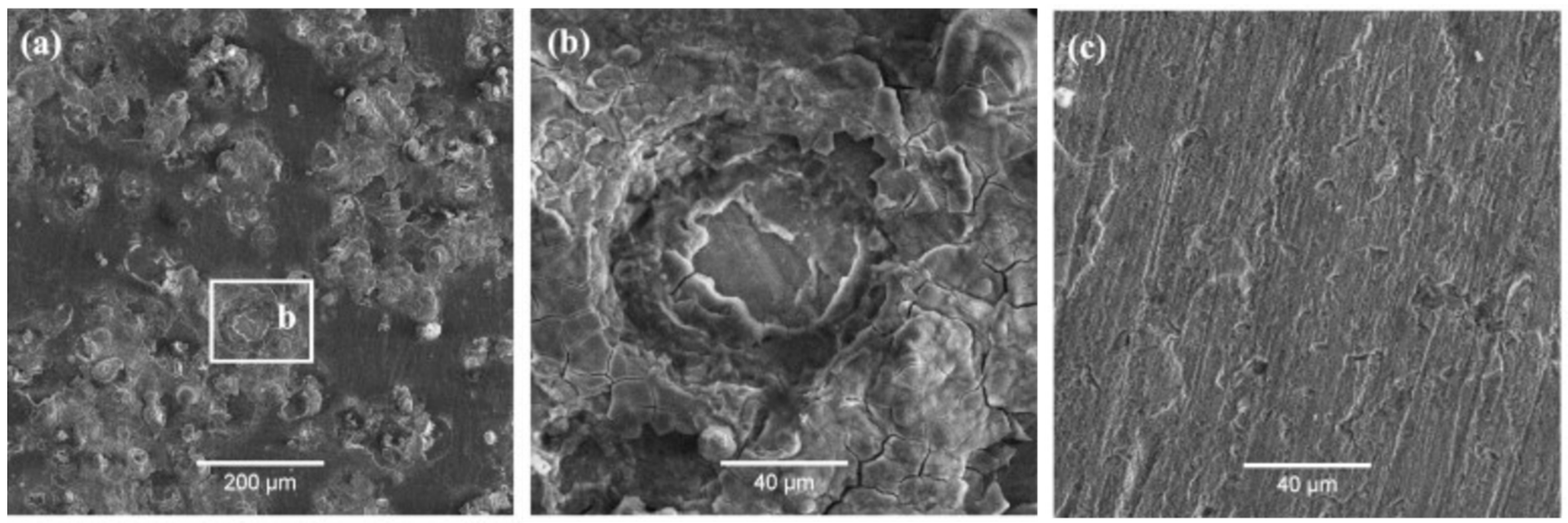 Metals 11 00287 g012