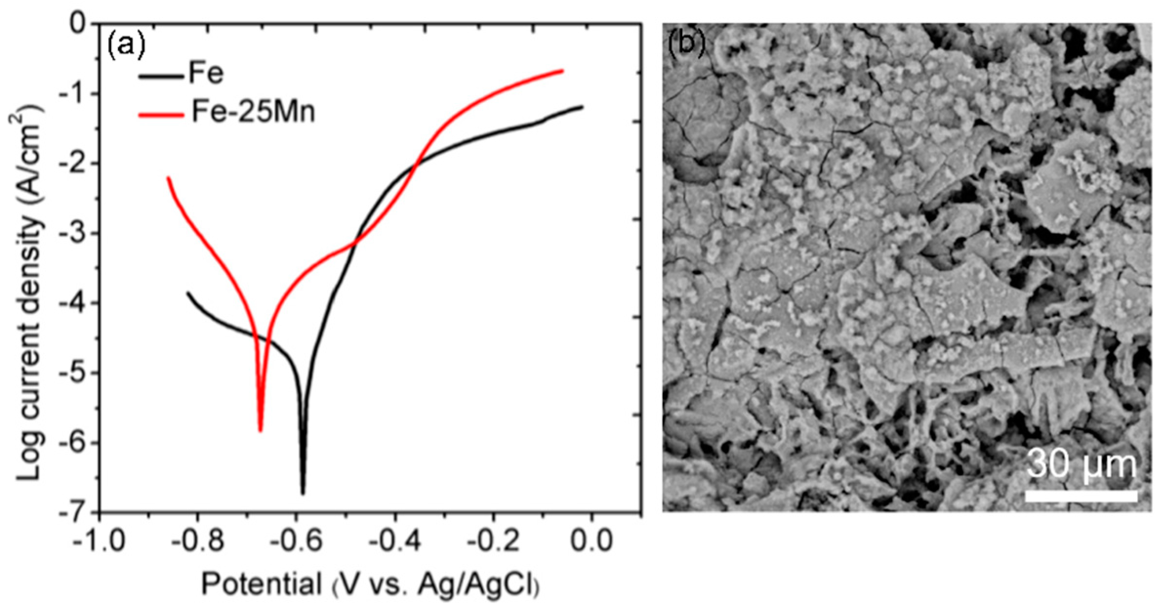 Metals 11 00287 g029