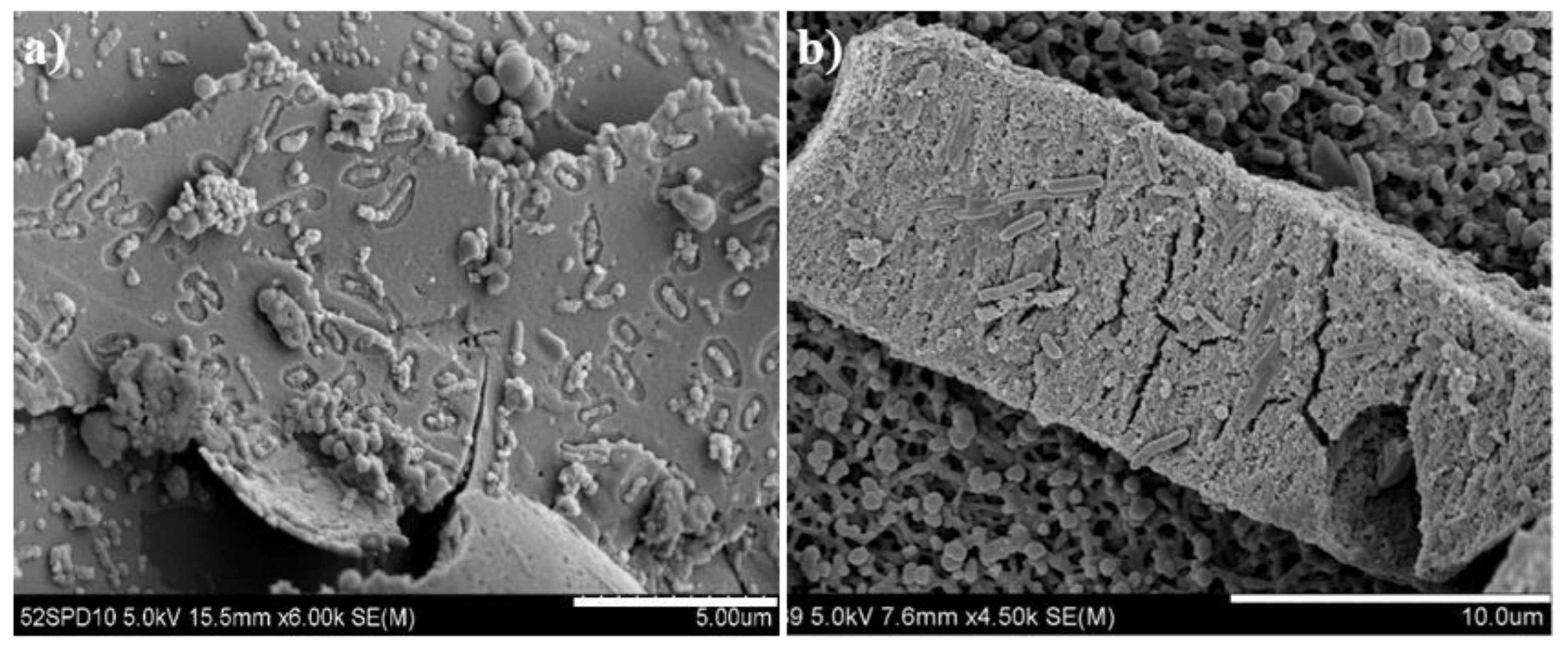 Metals 11 00295 g007