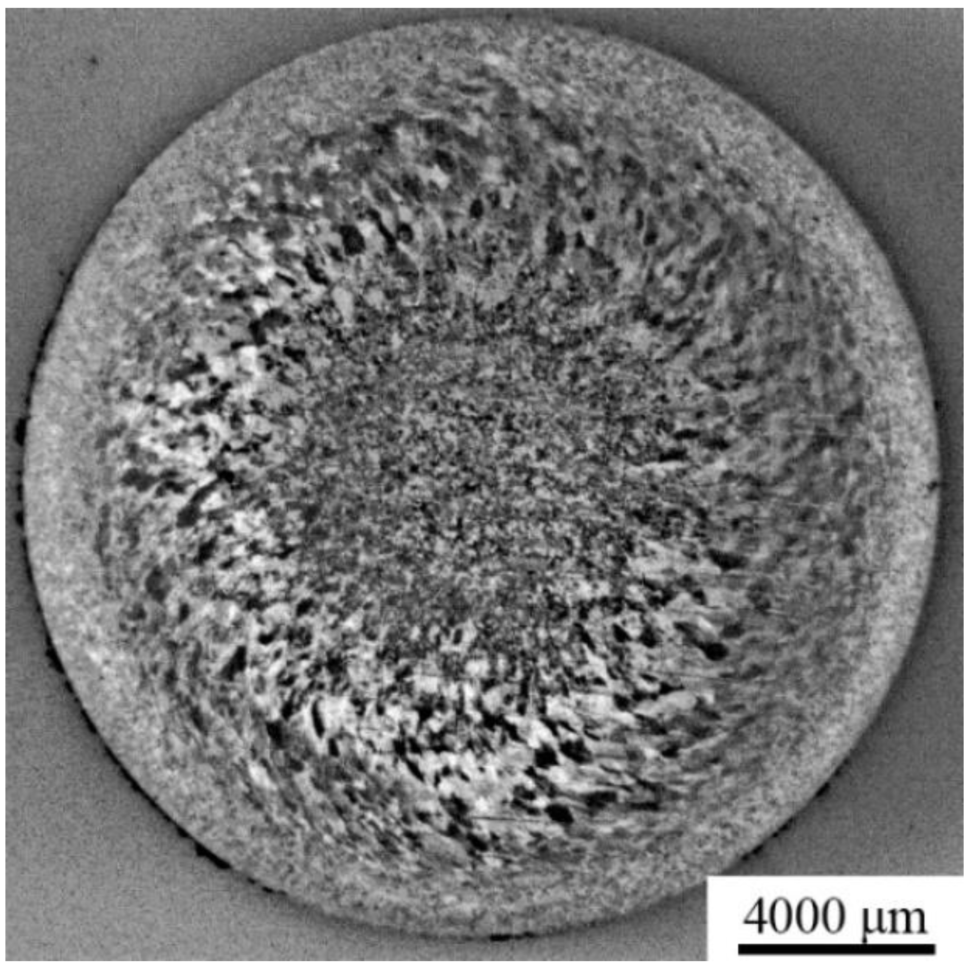 Metals 11 00296 g001