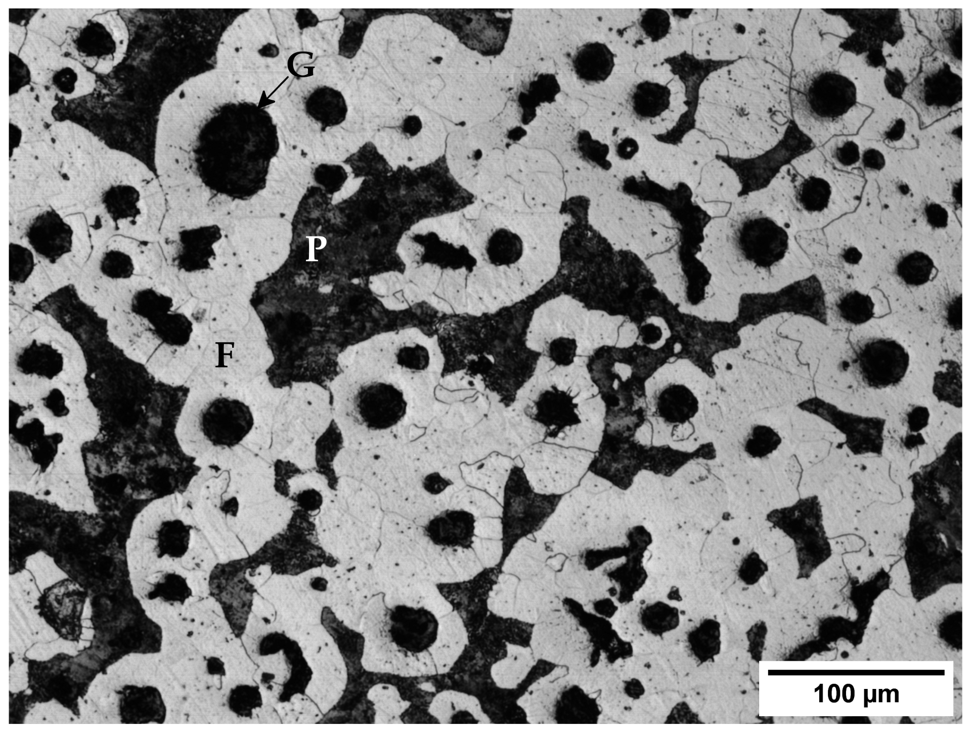 Metals 11 00297 g001