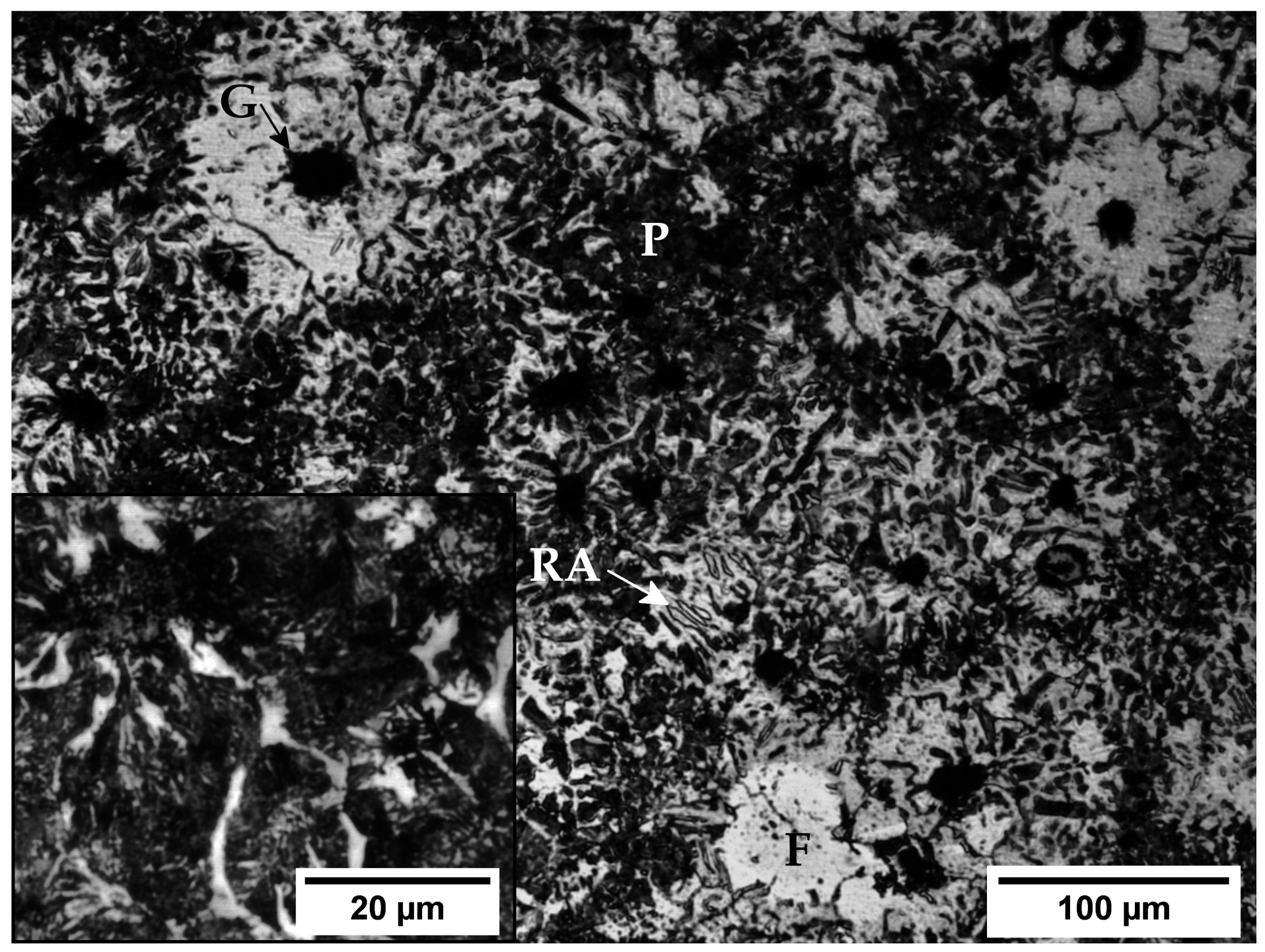 Metals 11 00297 g003