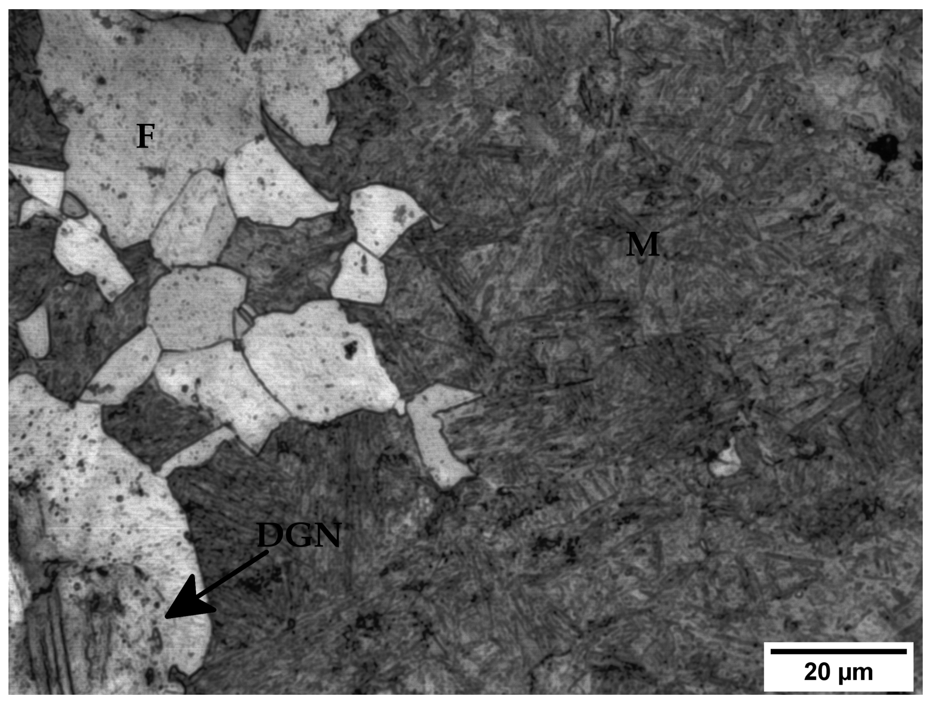 Metals 11 00297 g004