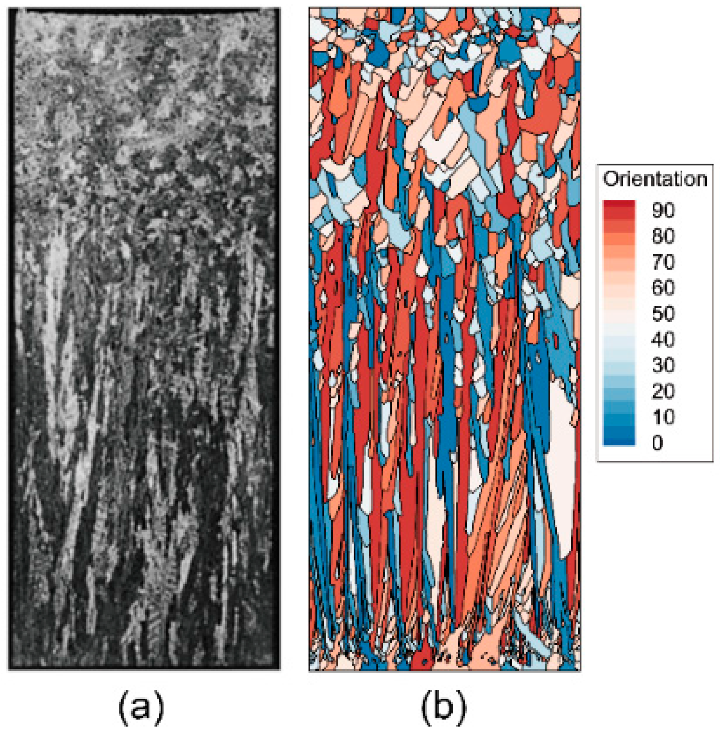 Metals 11 00298 g010