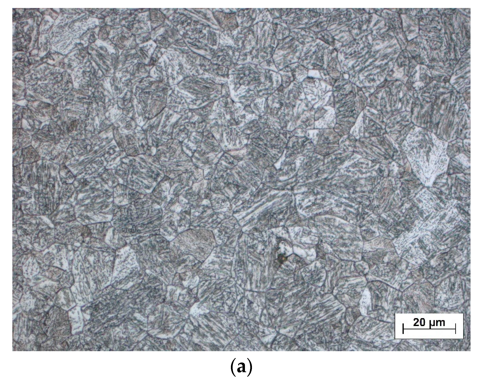 Metals 11 00305 g007a