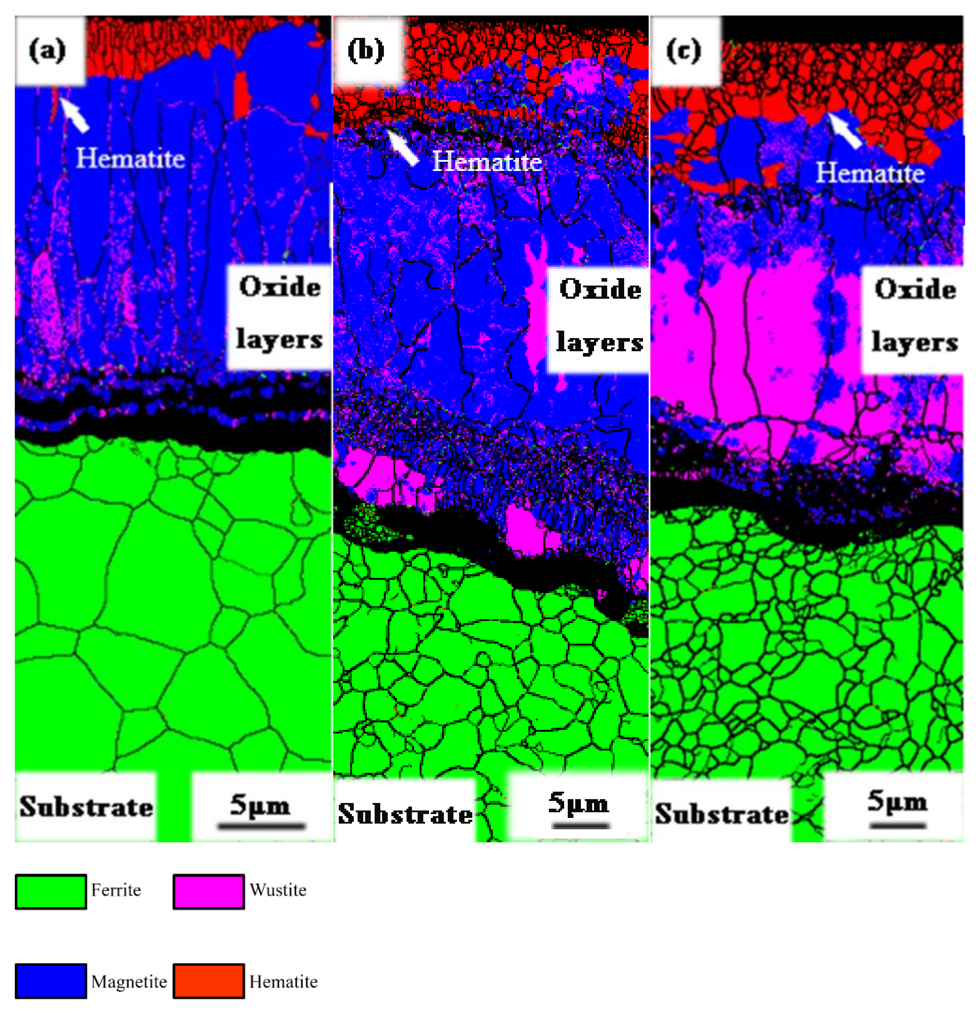 Metals 11 00312 g004