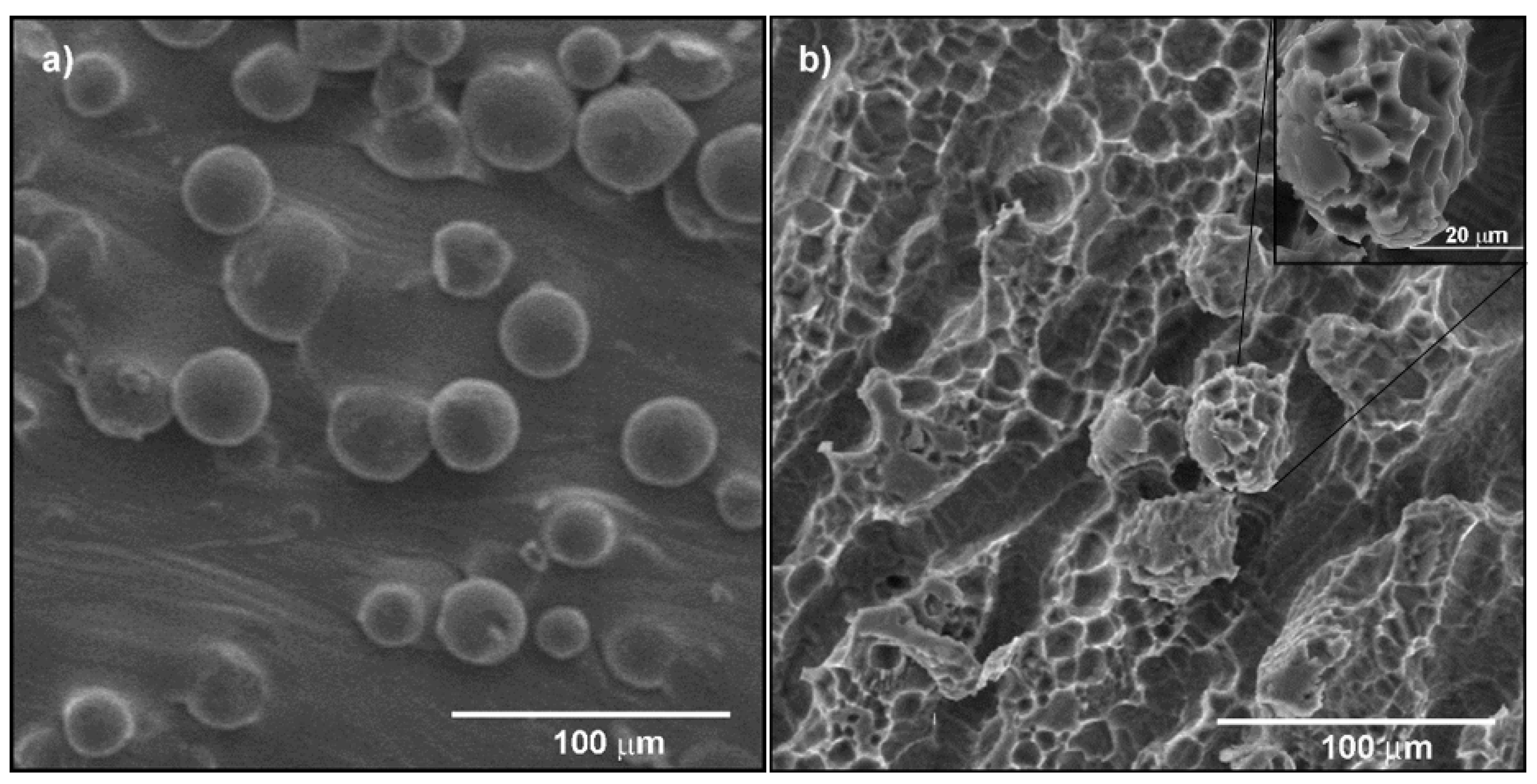 Metals 11 00313 g002