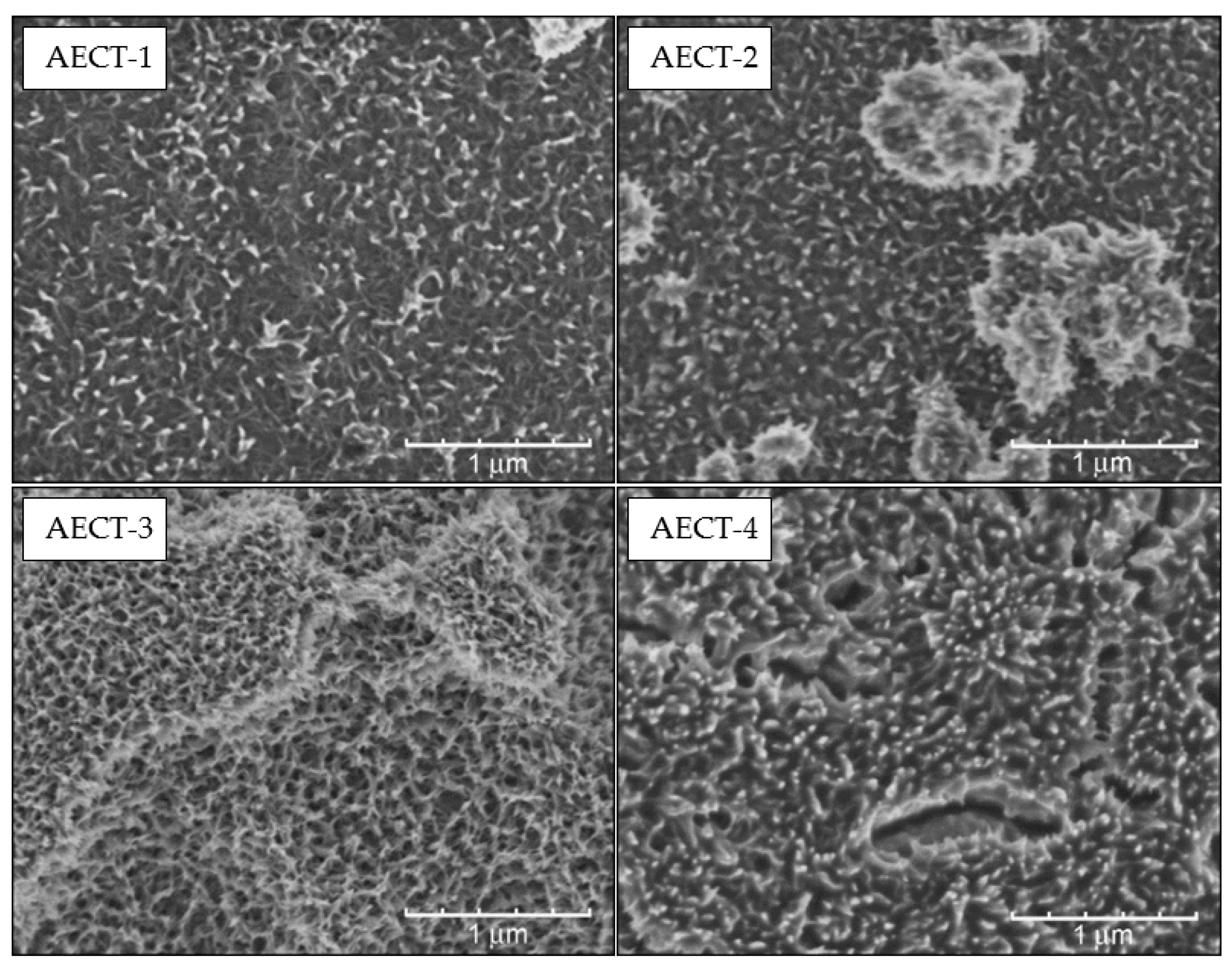 Metals 11 00313 g005