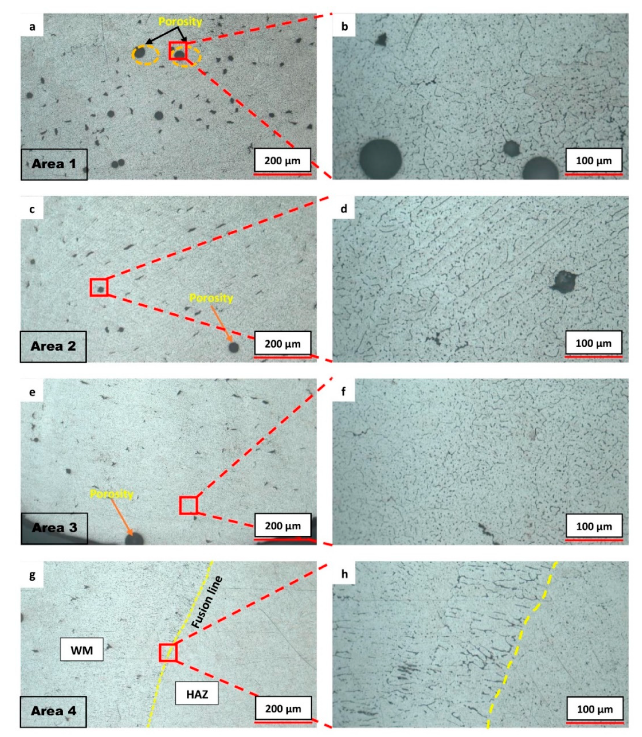Metals 11 00316 g010