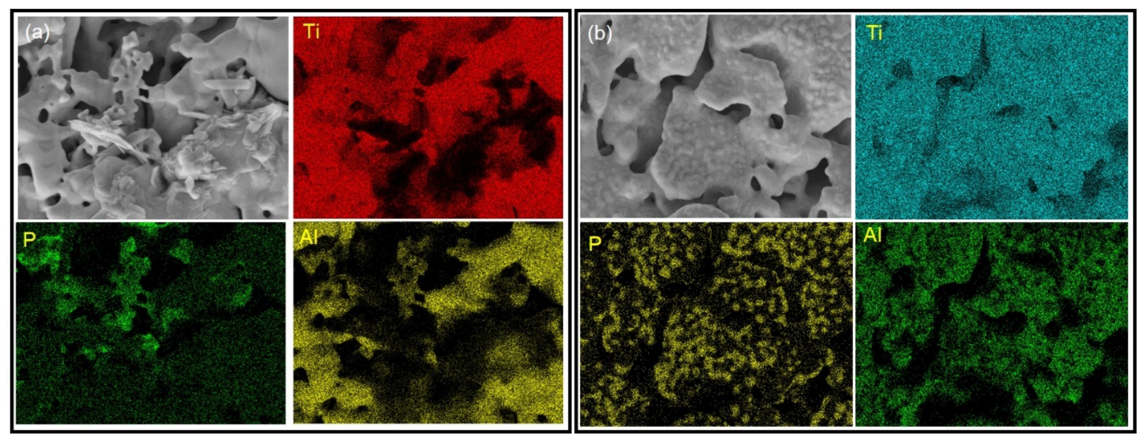 Metals 11 00318 g005