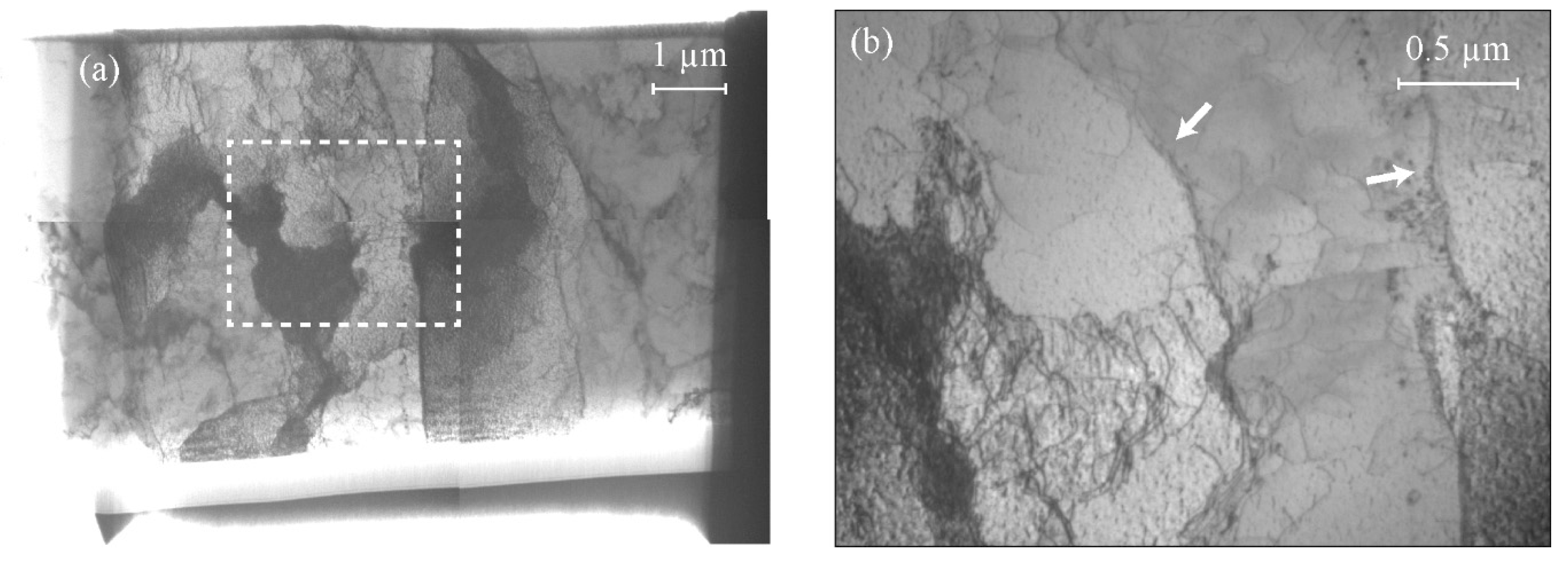 Metals 11 00322 g005