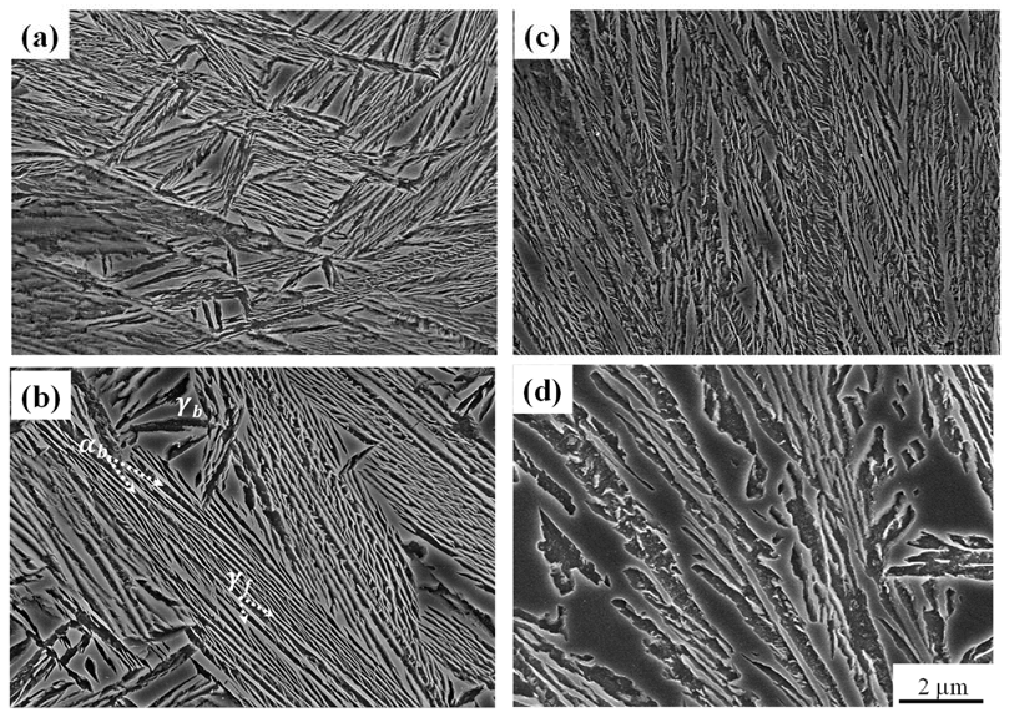 Metals 11 00324 g004