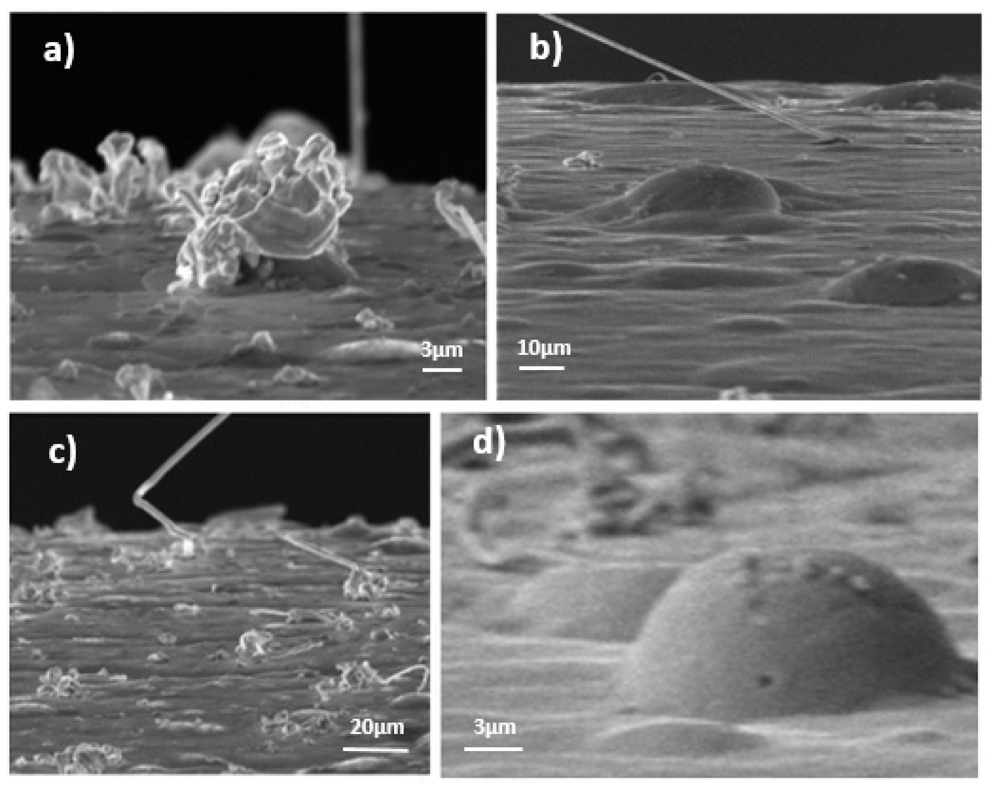 Metals 11 00325 g002