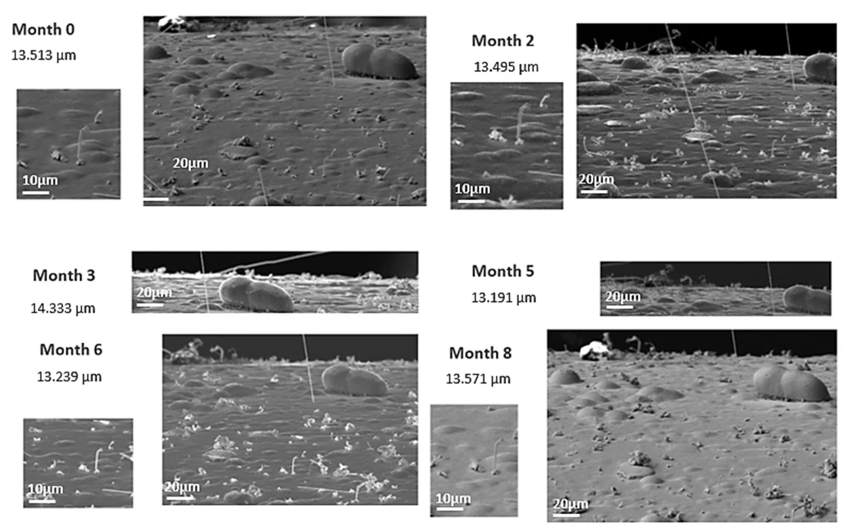 Metals 11 00325 g006