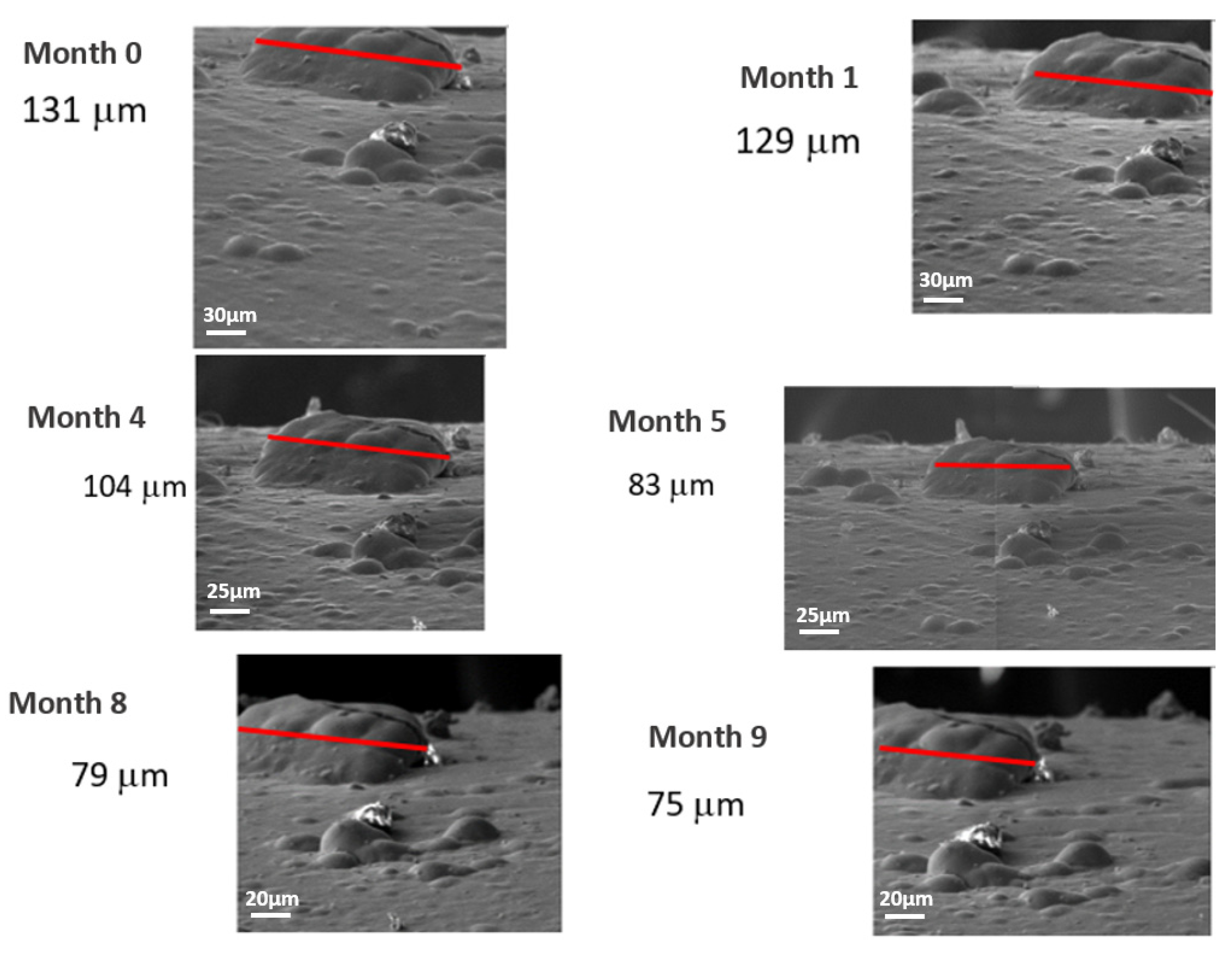 Metals 11 00325 g007