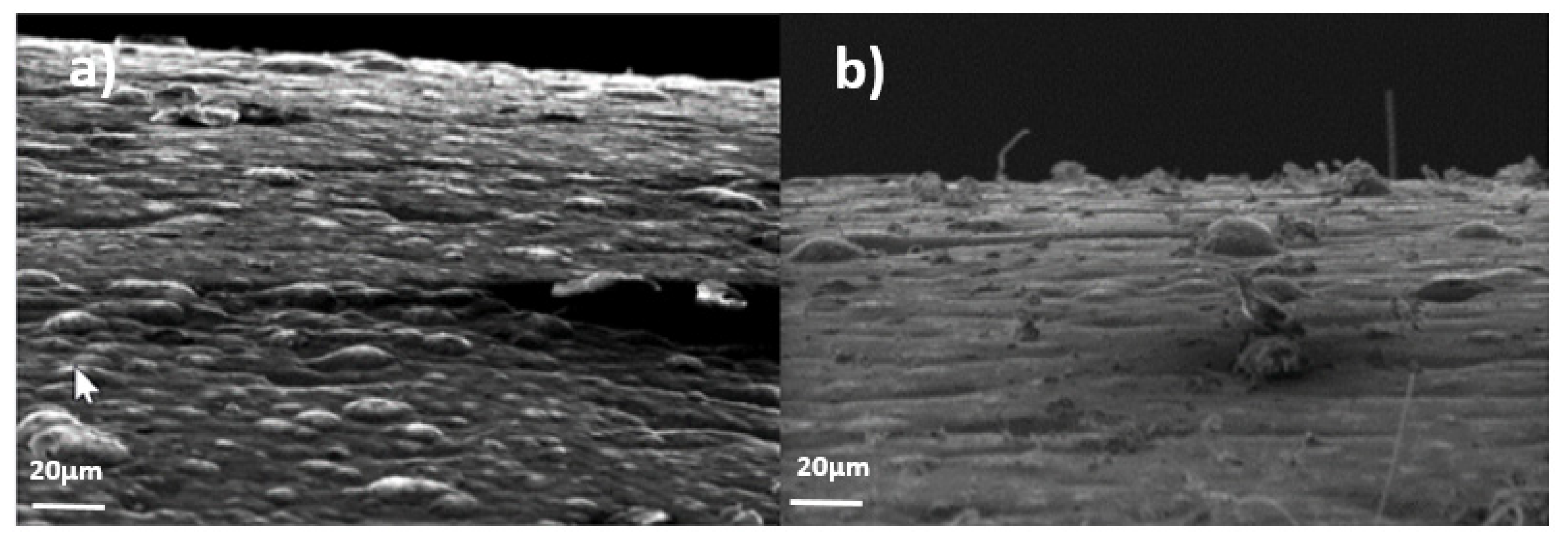 Metals 11 00325 g009