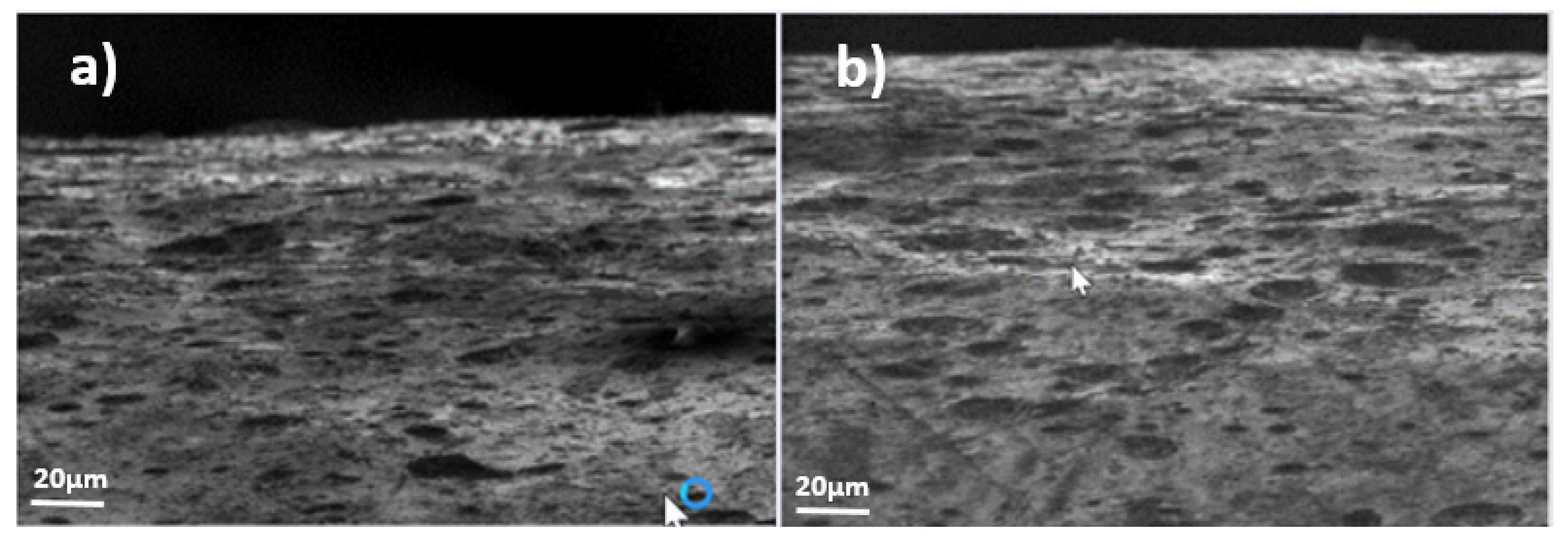 Metals 11 00325 g012