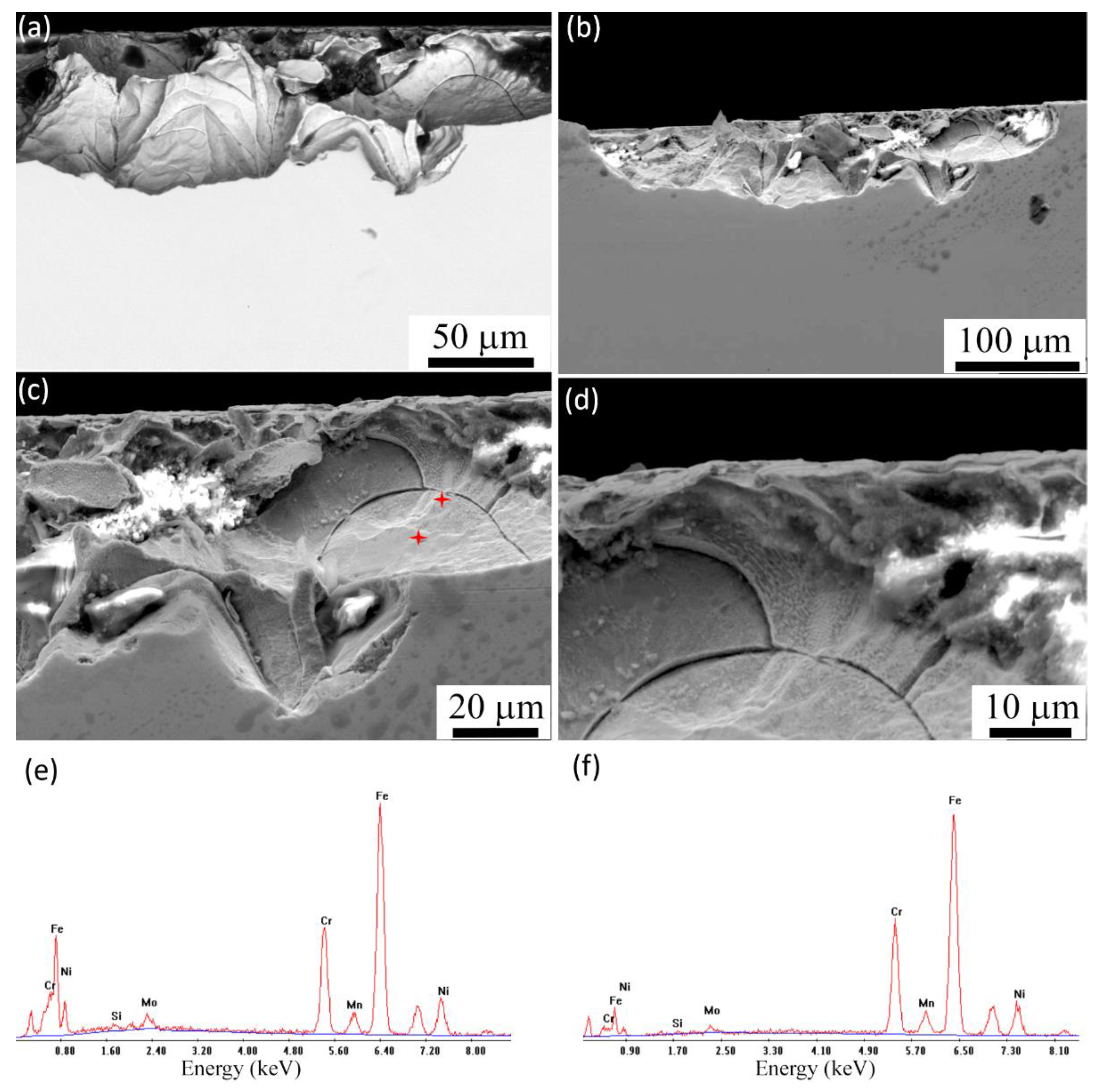 Metals 11 00327 g013 Metals 11 00327 g013