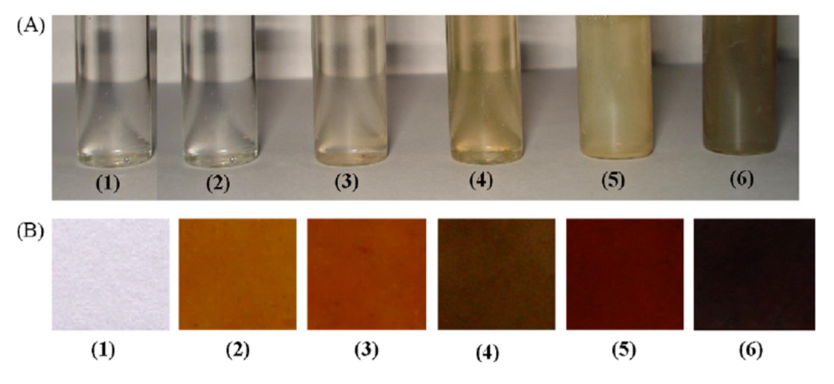 Metals 11 00329 g005