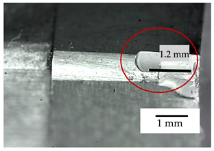 Metals 11 00333 i008