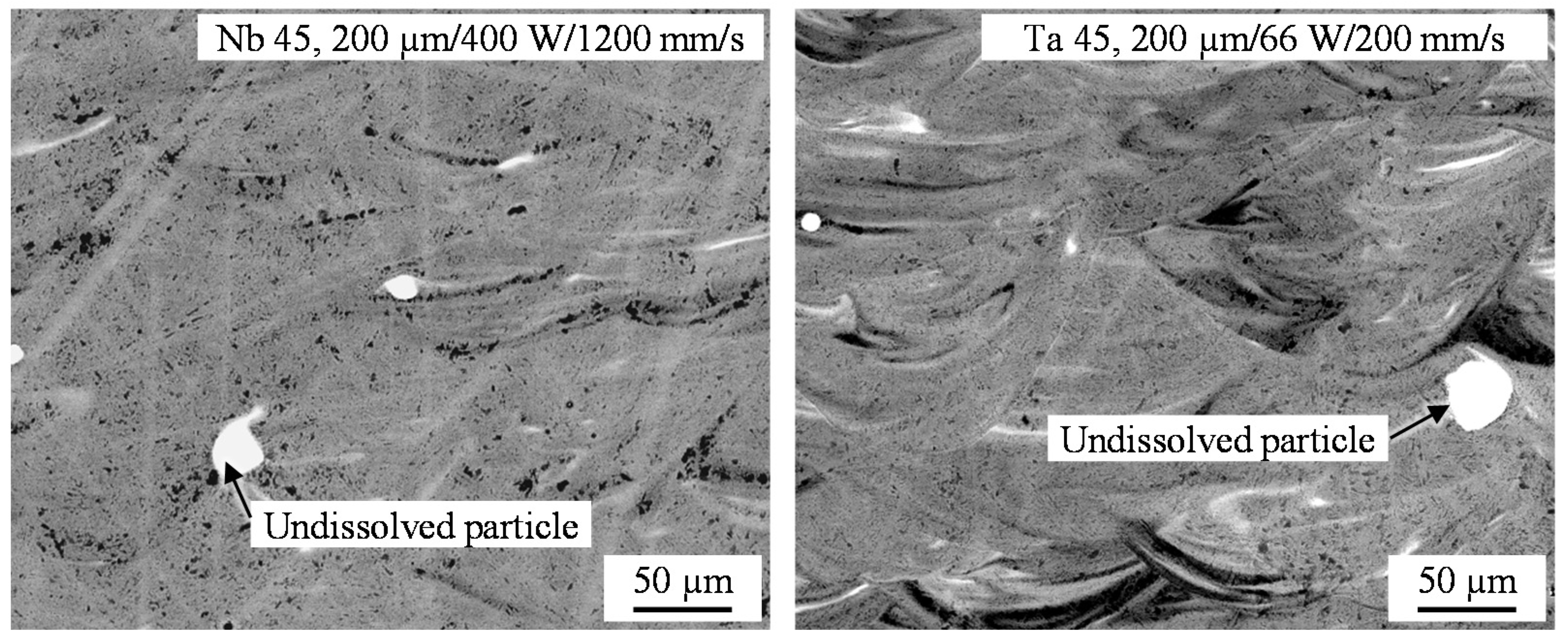 Metals 11 00336 g007 Metals 11 00336 g007