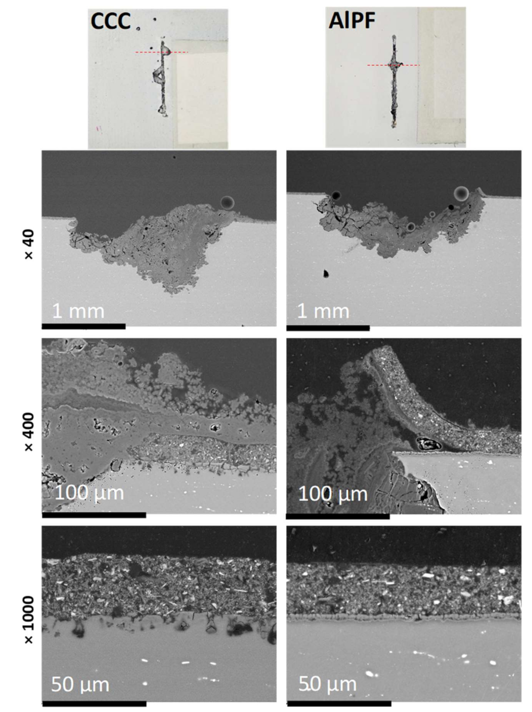 Metals 11 00337 g005