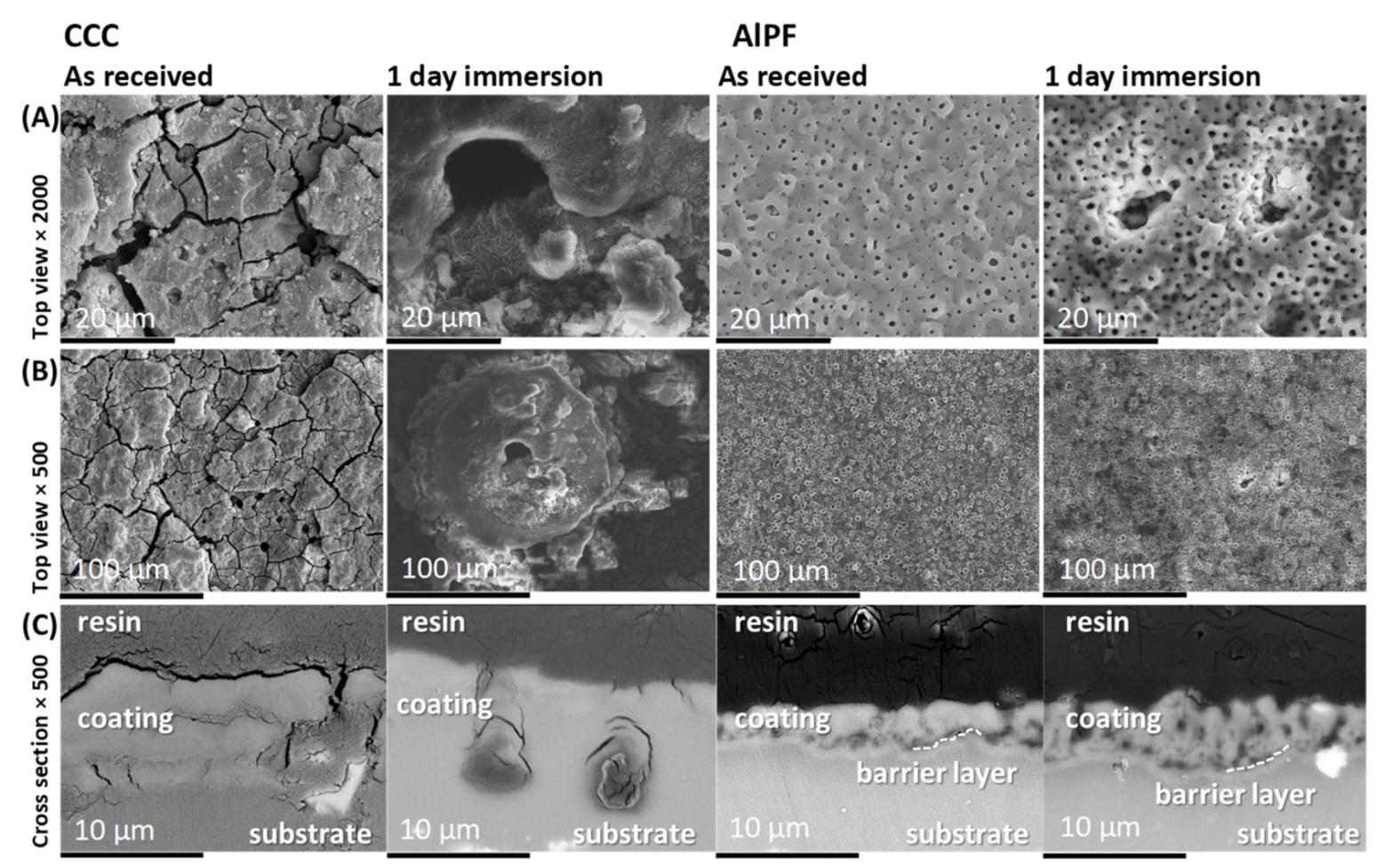 Metals 11 00337 g007
