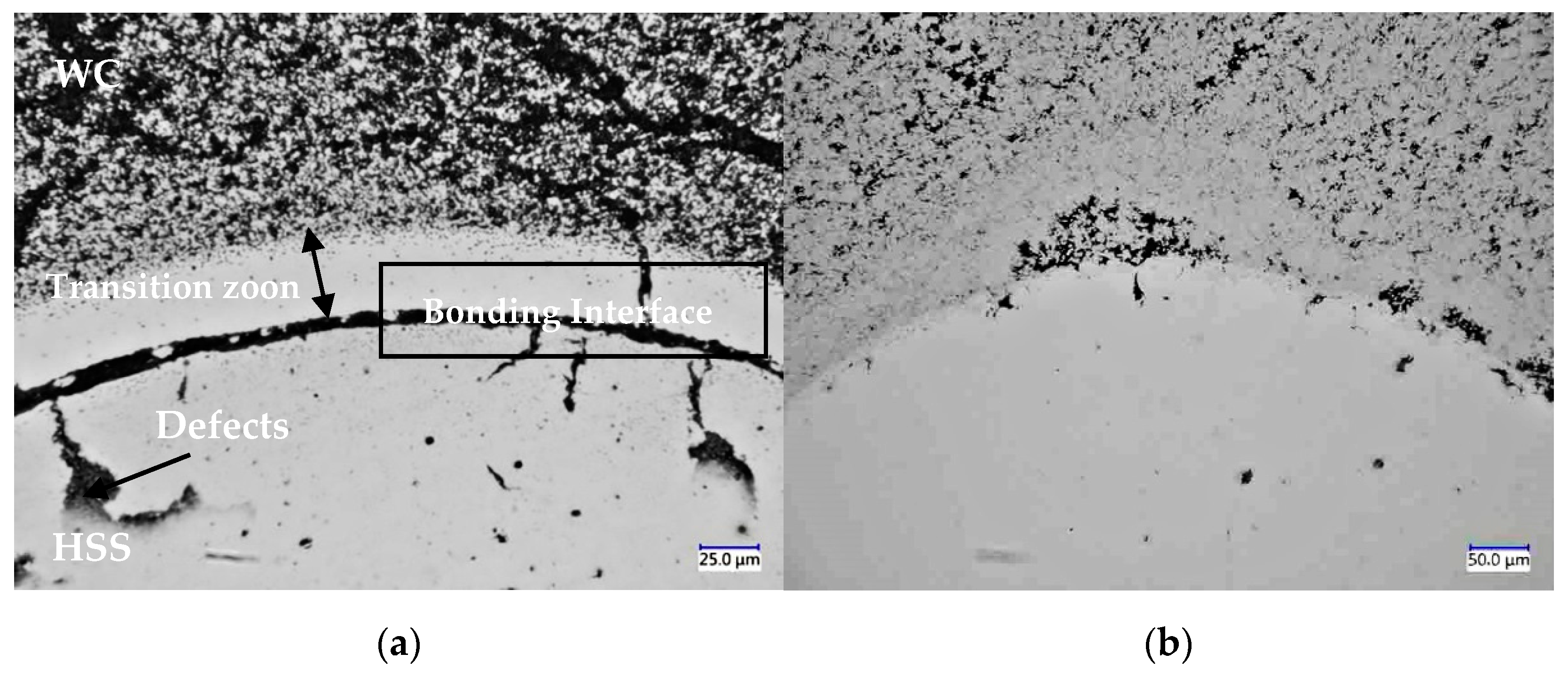 Metals 11 00341 g004