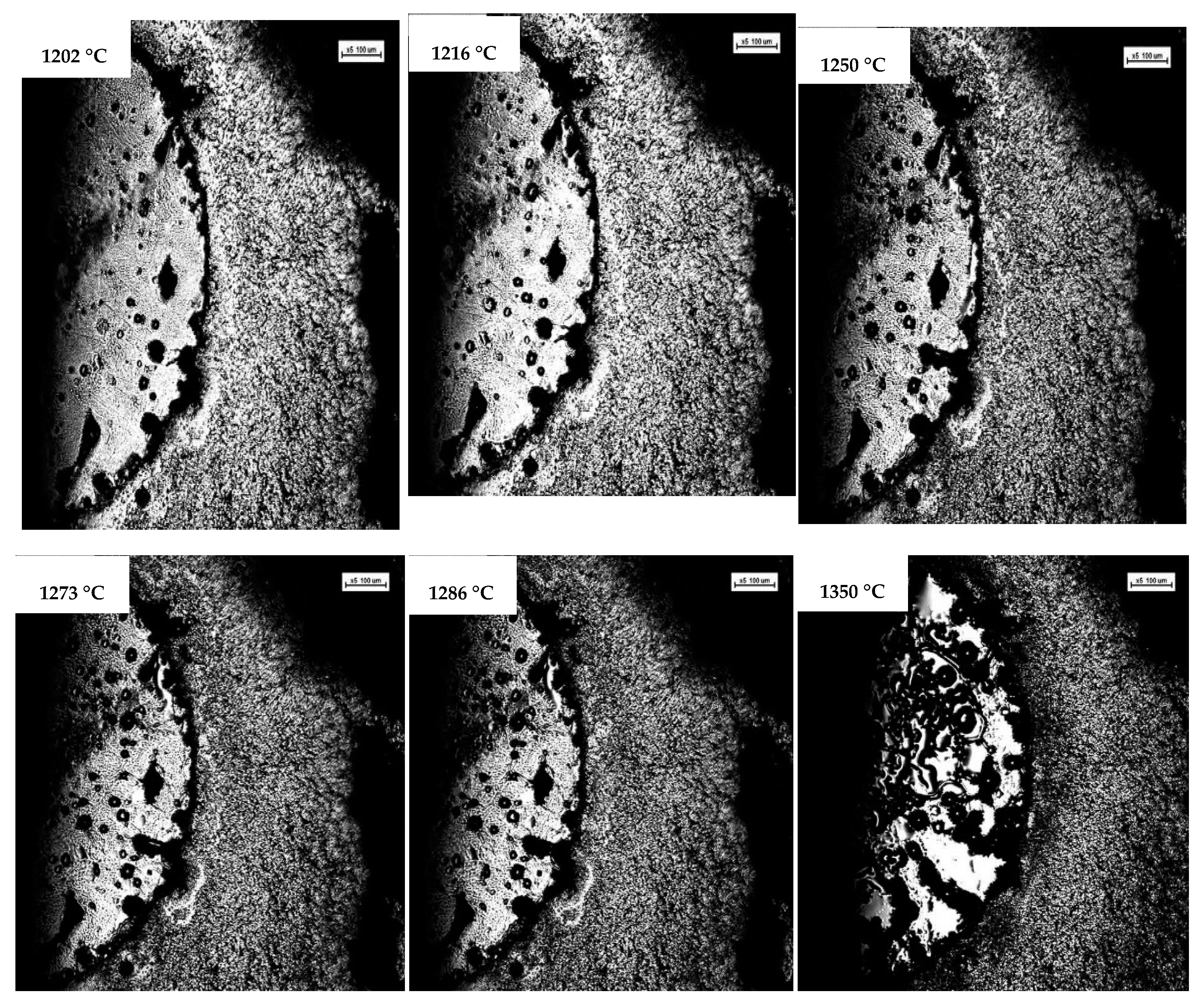 Metals 11 00341 g007