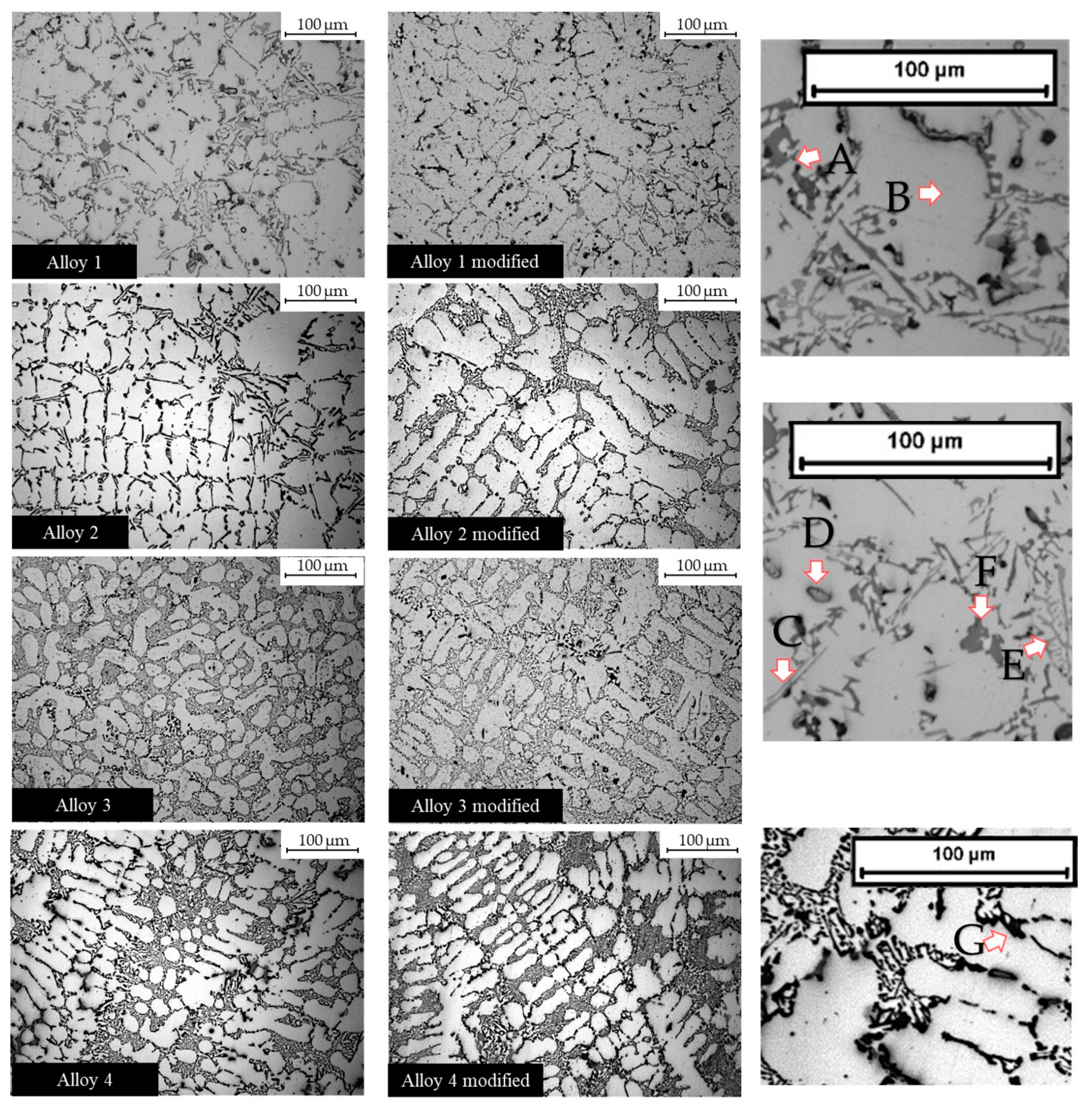 Metals 11 00342 g002 Metals 11 00342 g002