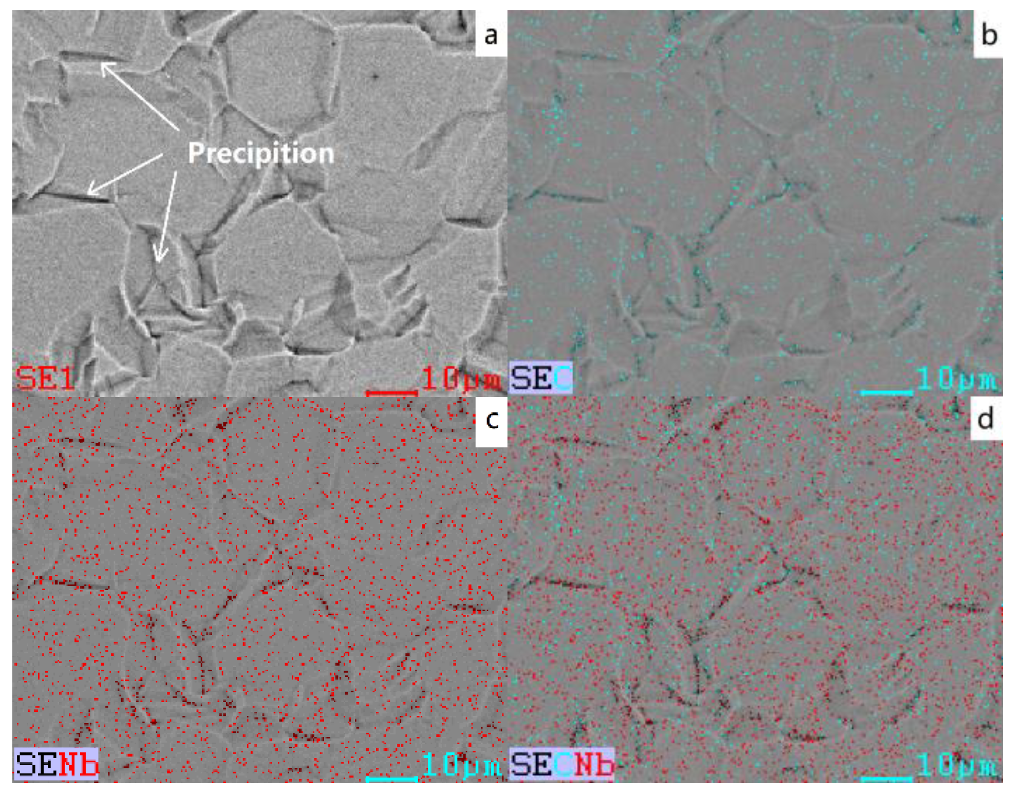 Metals 11 00345 g005