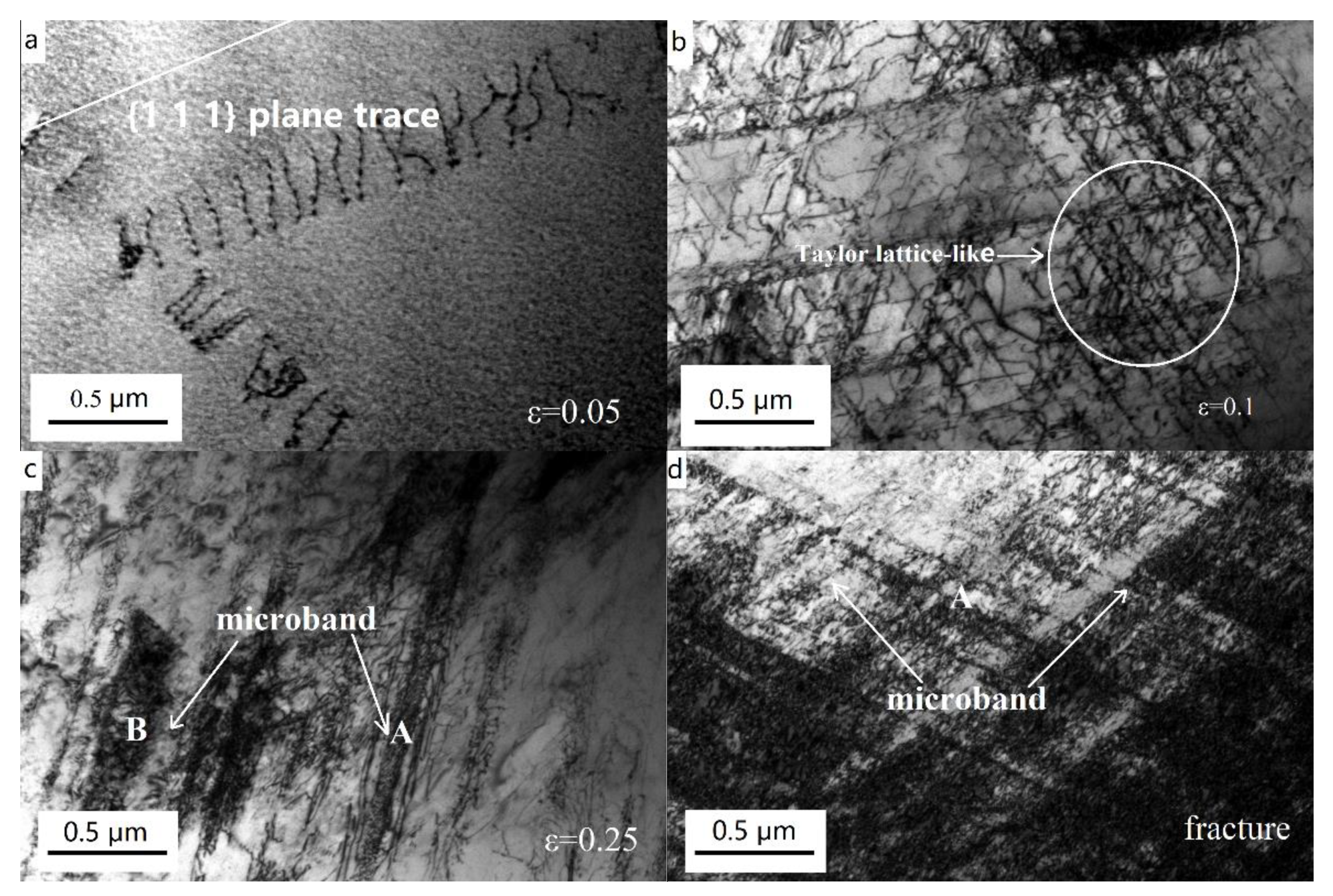 Metals 11 00345 g010