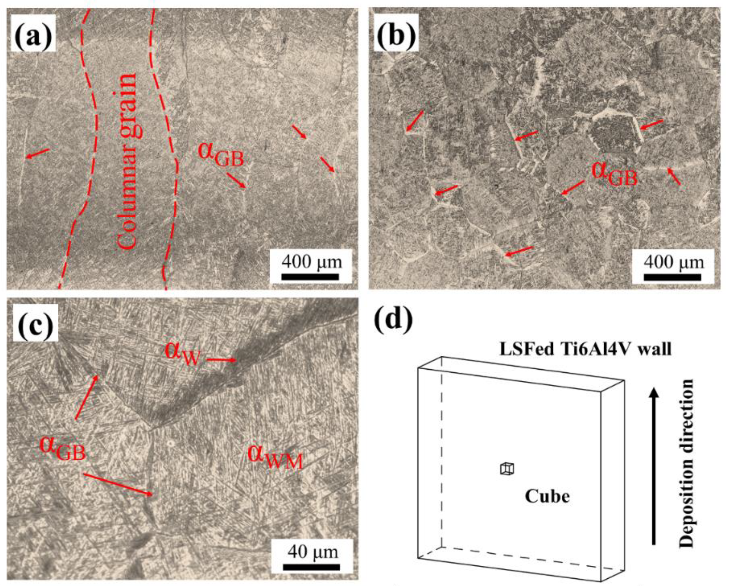 Metals 11 00346 g002