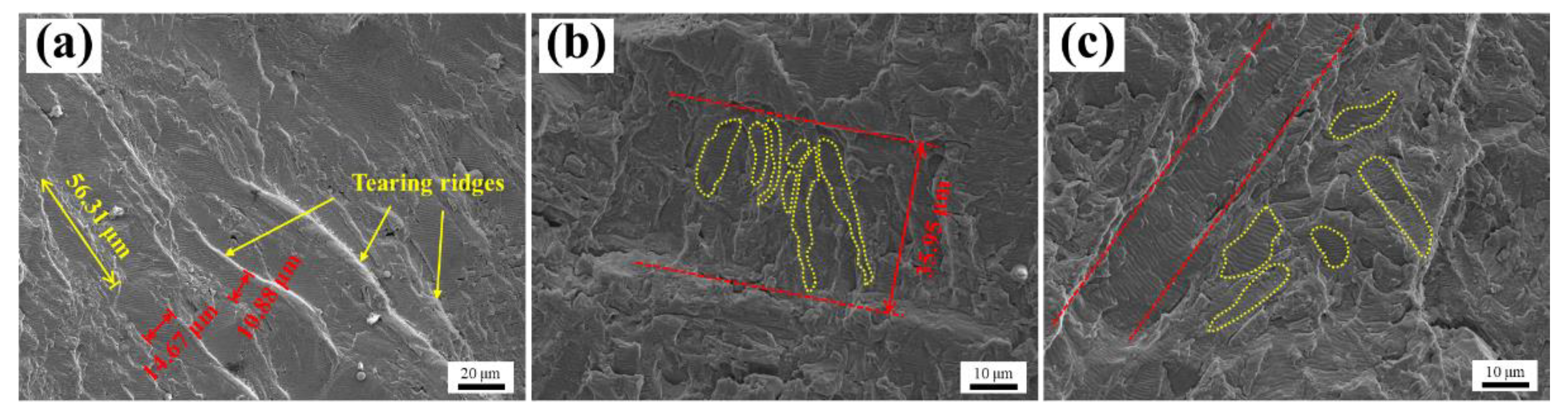 Metals 11 00346 g009