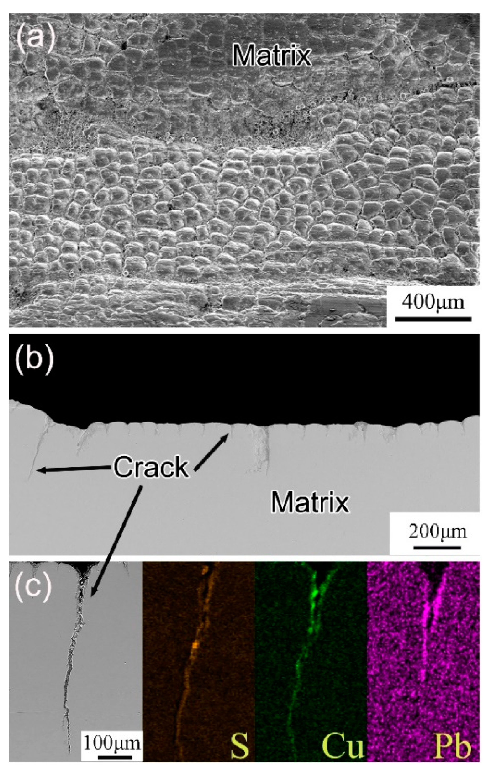 Metals 11 00348 g004