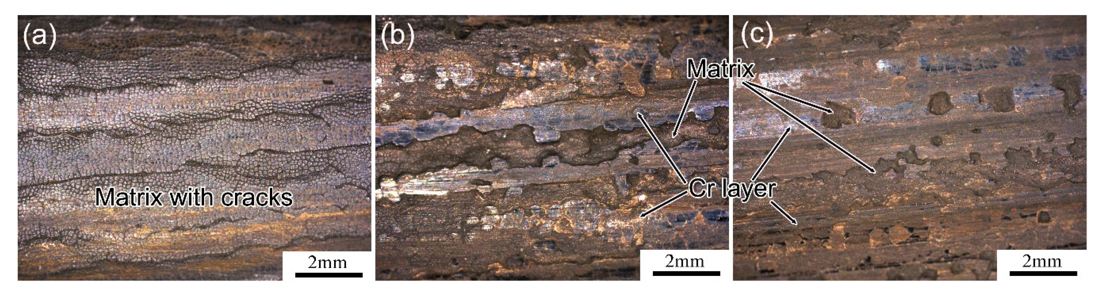 Metals 11 00348 g005