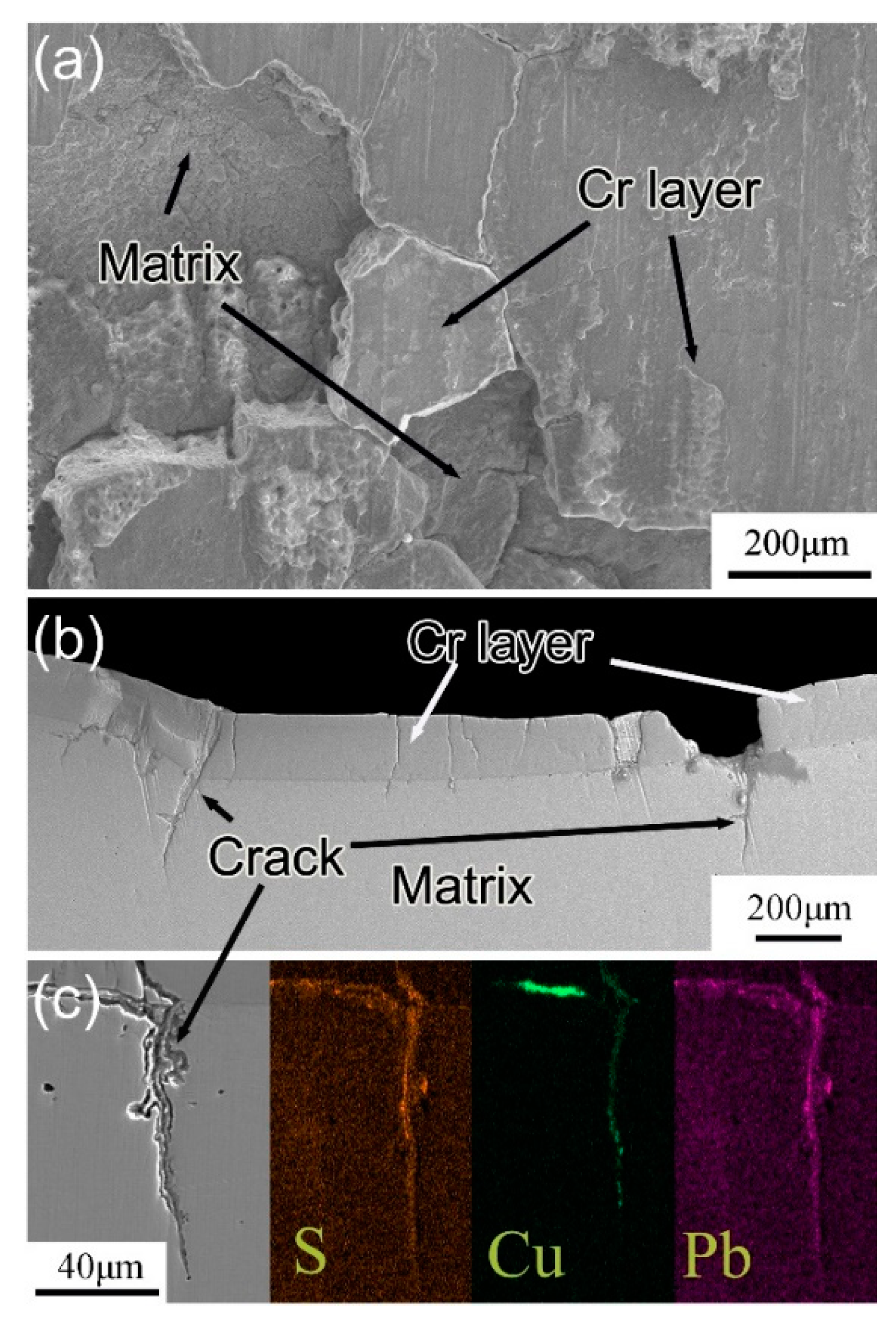 Metals 11 00348 g006