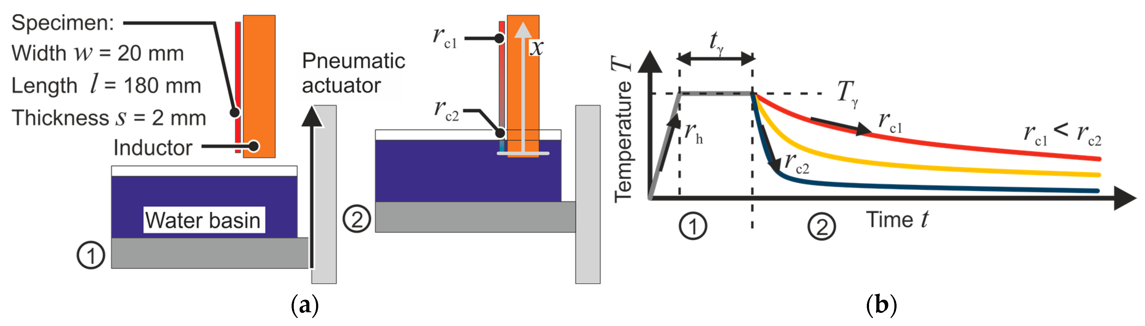 Metals 11 00349 g002