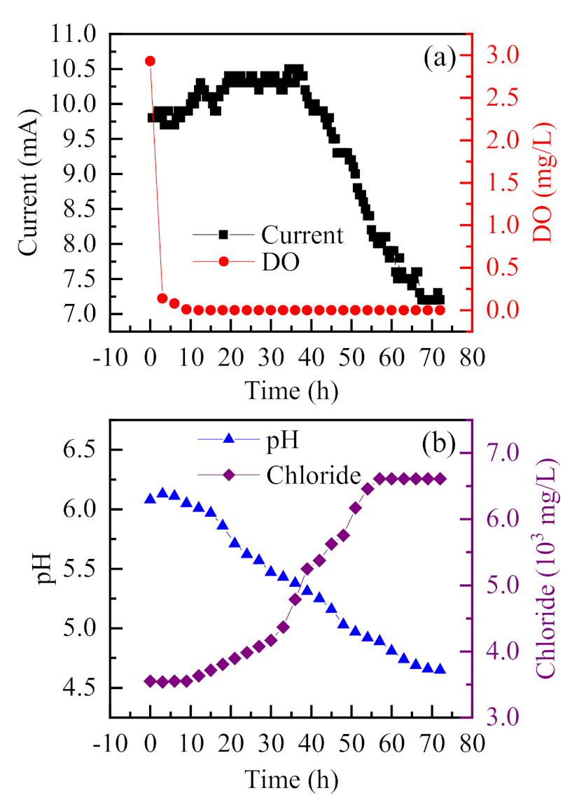 Metals 11 00350 g005